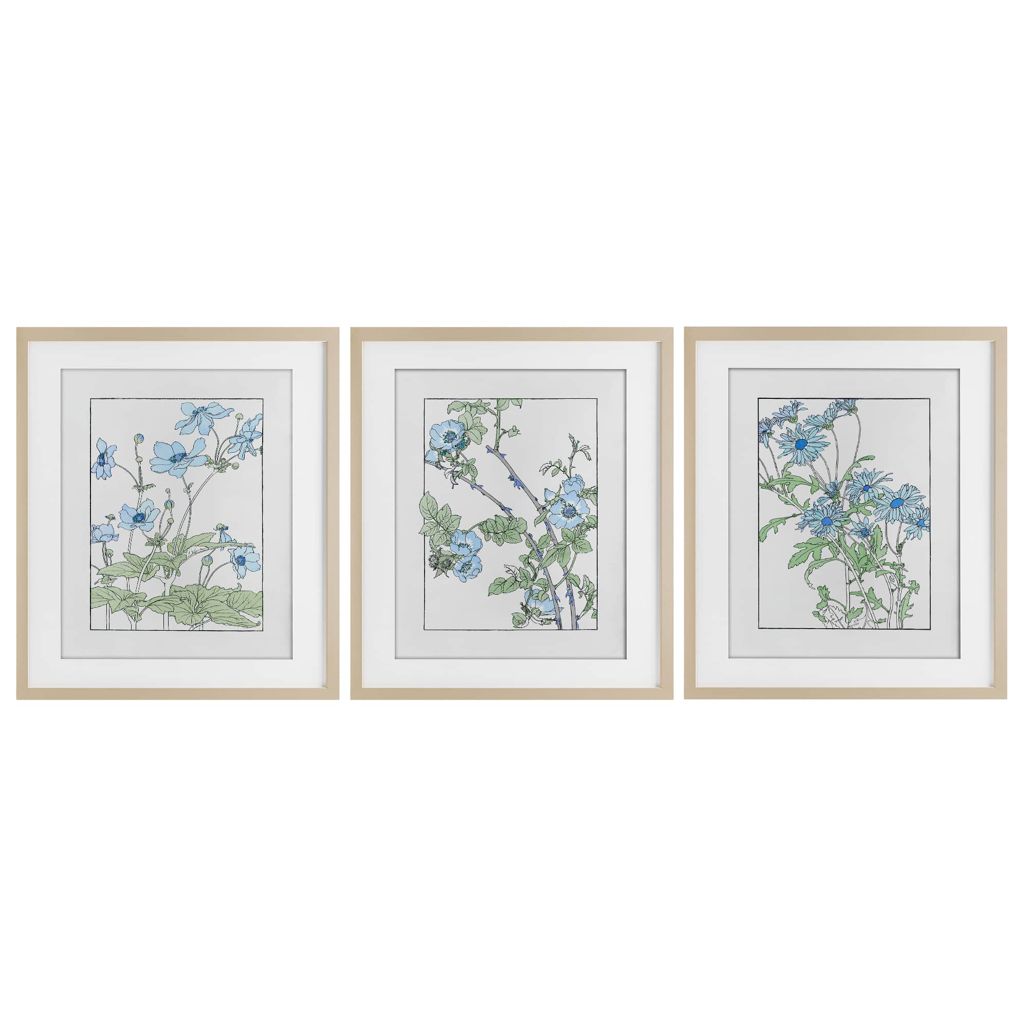 Stupell Industries A3-477-MFT-3PC-17X21 Wild Blooms with Detailed Outlines Brown 3pc Framed Print Under Glass Set 17 x 21