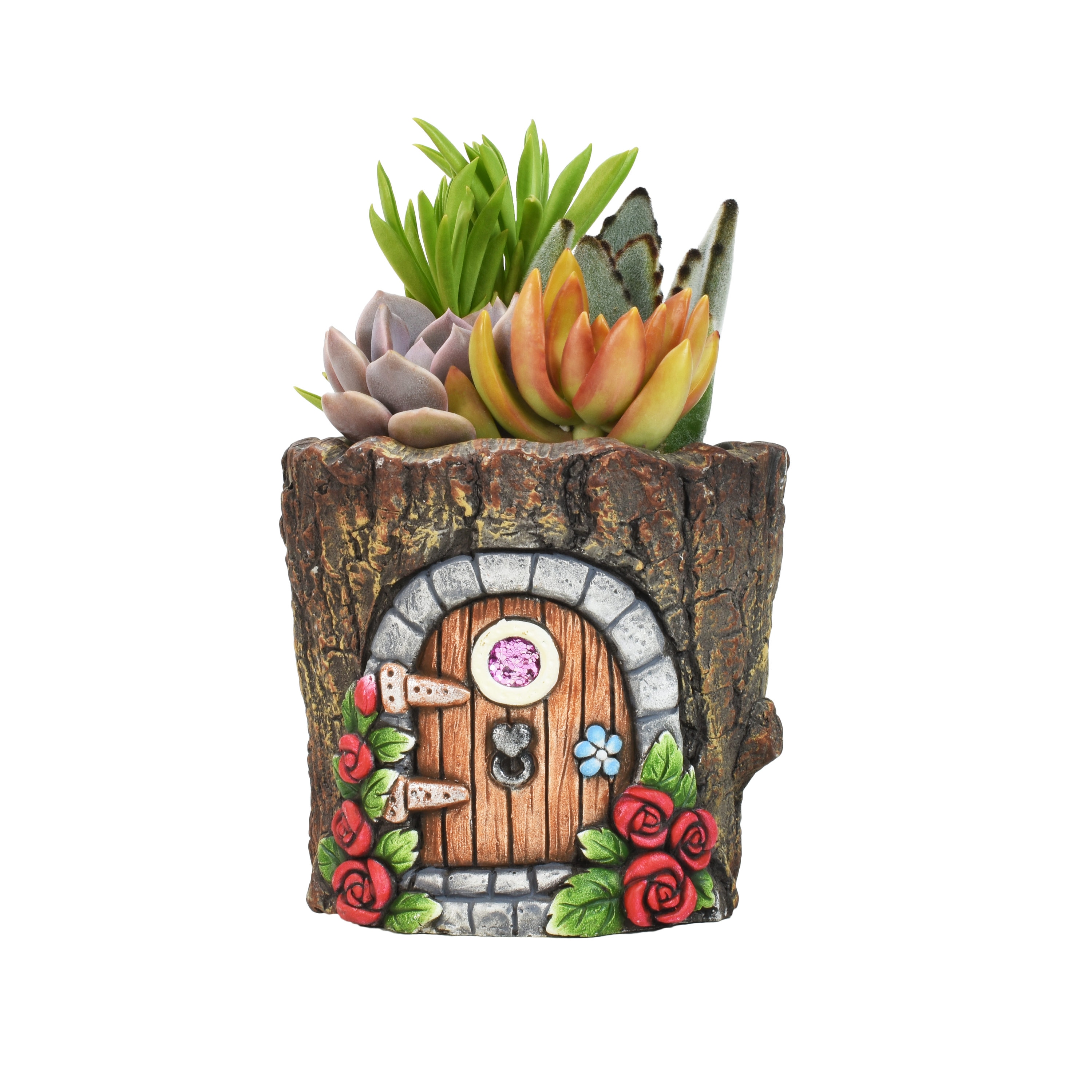 Lowe's NURSERY 1.0 -Pack Succulent Combo in -oz Planter