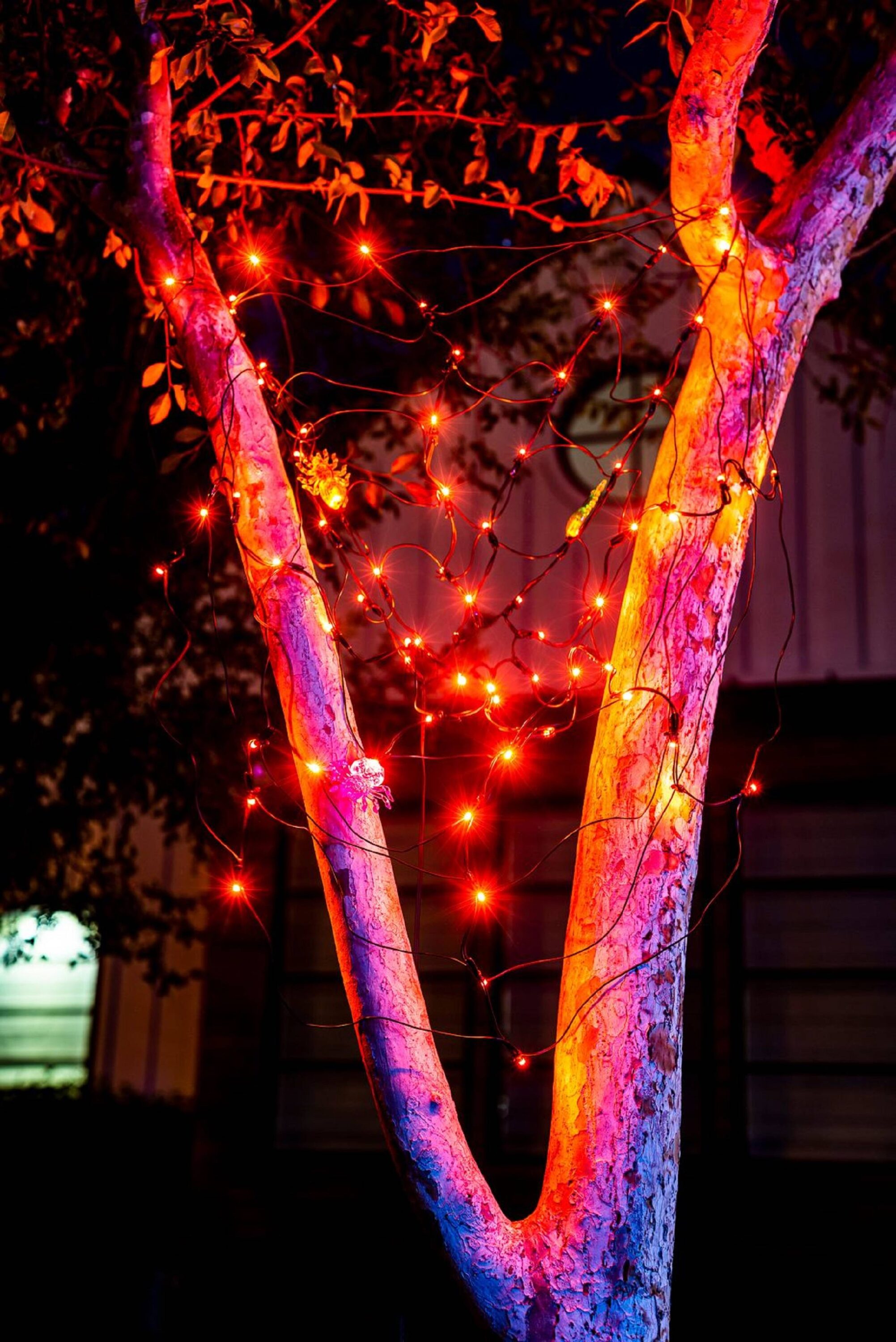 Joyin Orange LED Spider Web Halloween Decoration With 3 Lighted Spiders ...