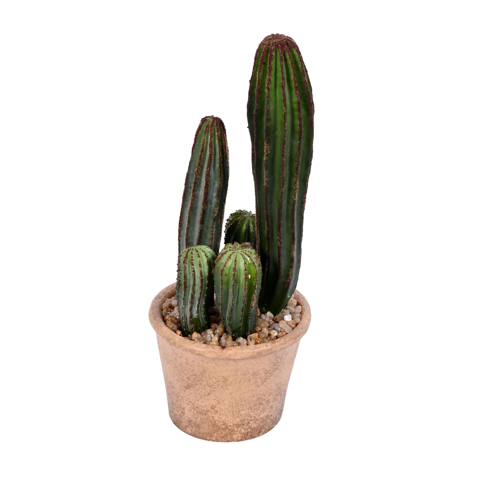 Vickerman FE192810 10.5-in Green Indoor Cactus Artificial Plant