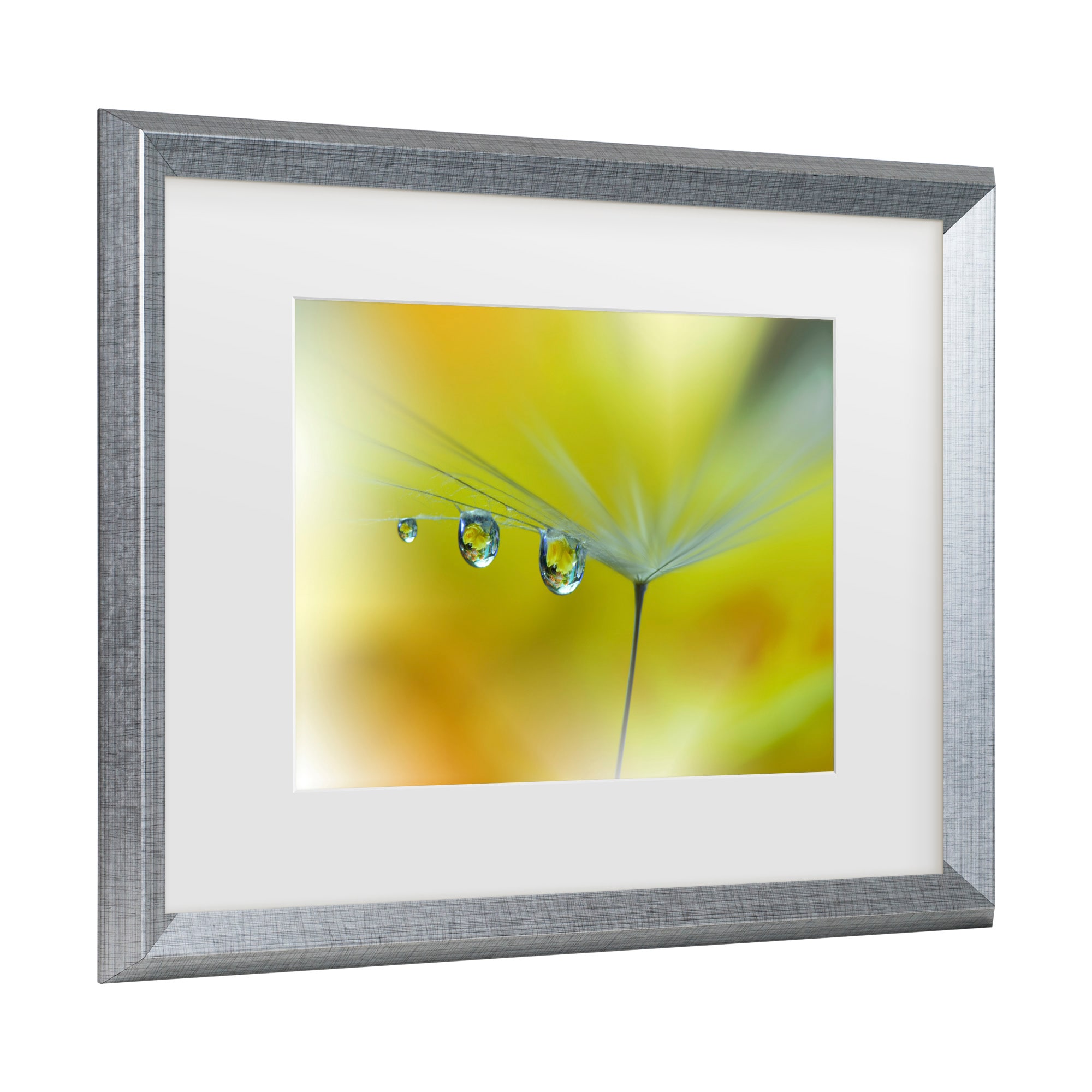 Trademark Fine Art 1X10921-S1620MF Wall-Art - View #3