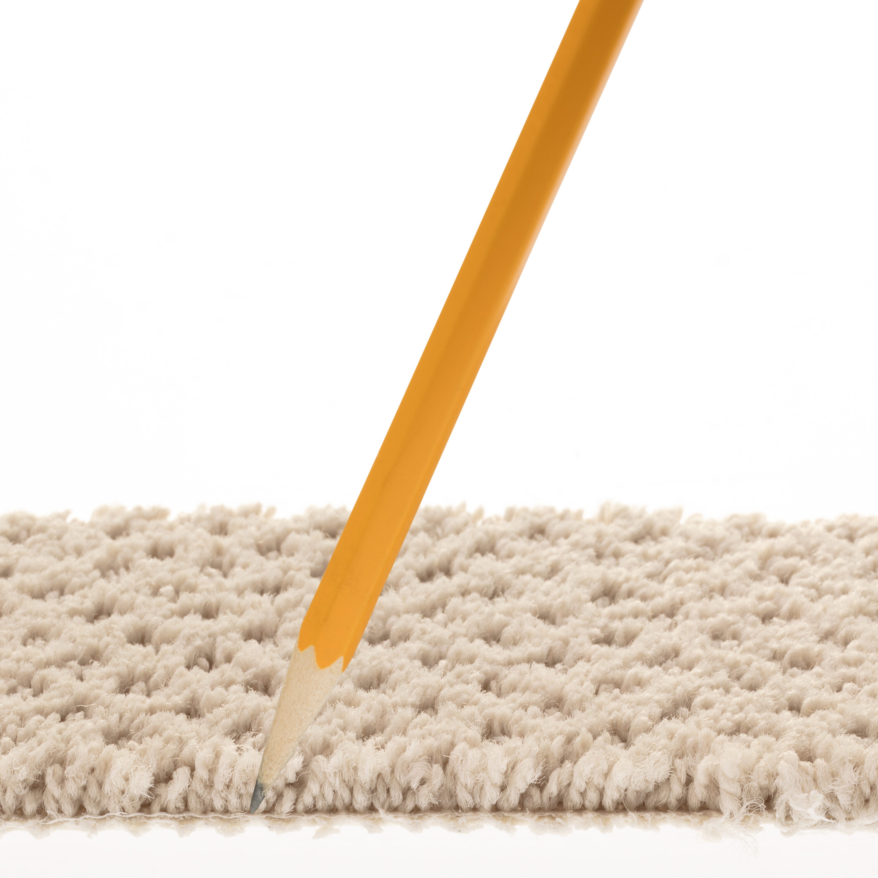 STAINMASTER 7L905 - 175 - SAMP Carpet-Samples - View #7