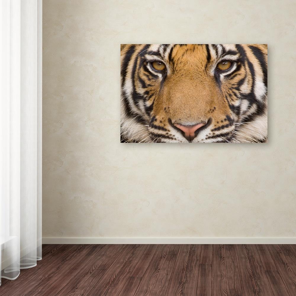 Trademark Fine Art ALI18923-C2232GG Wall-Art - View #3