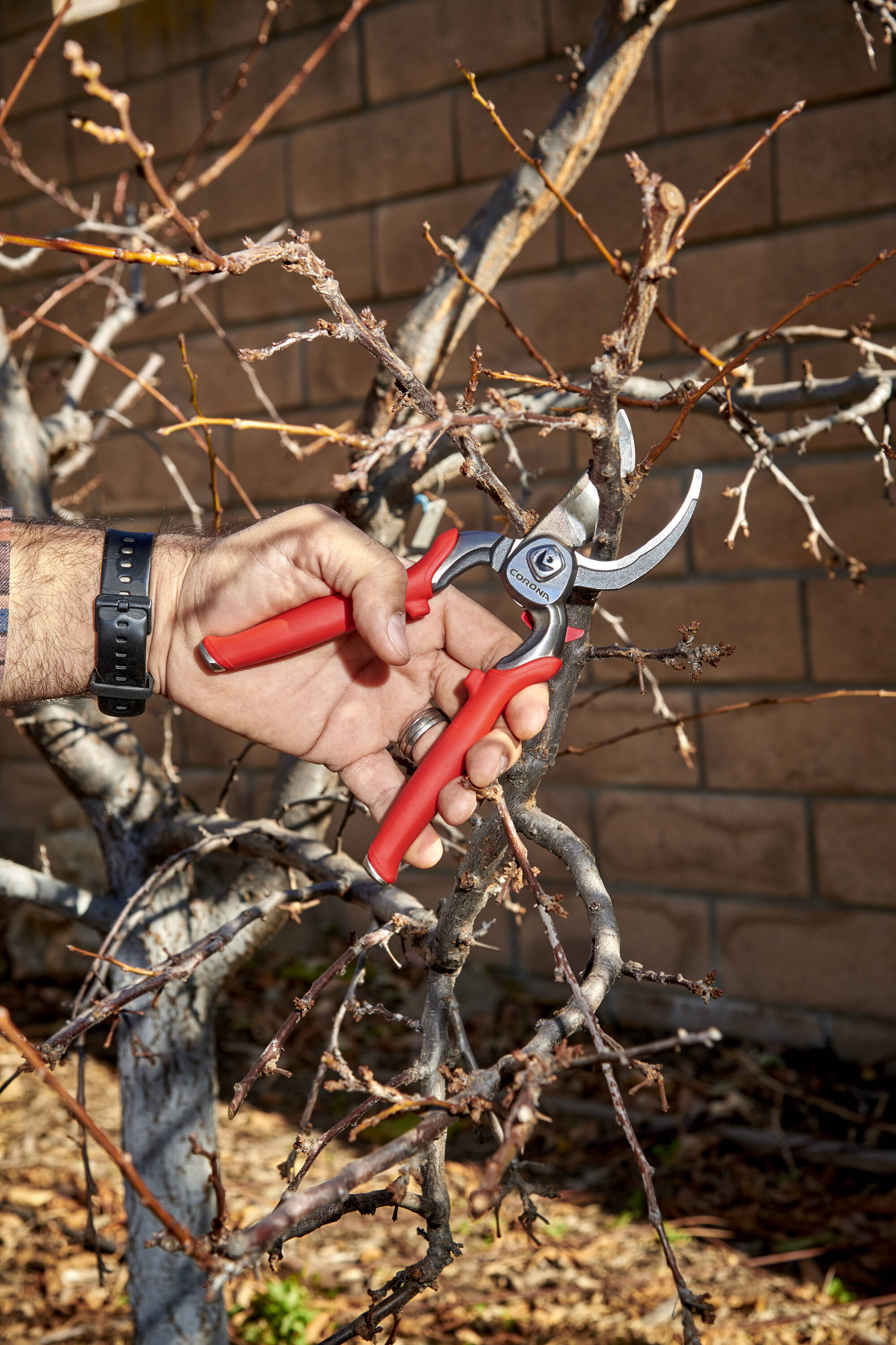 Corona BP 7100D Hand-Pruners - View #14