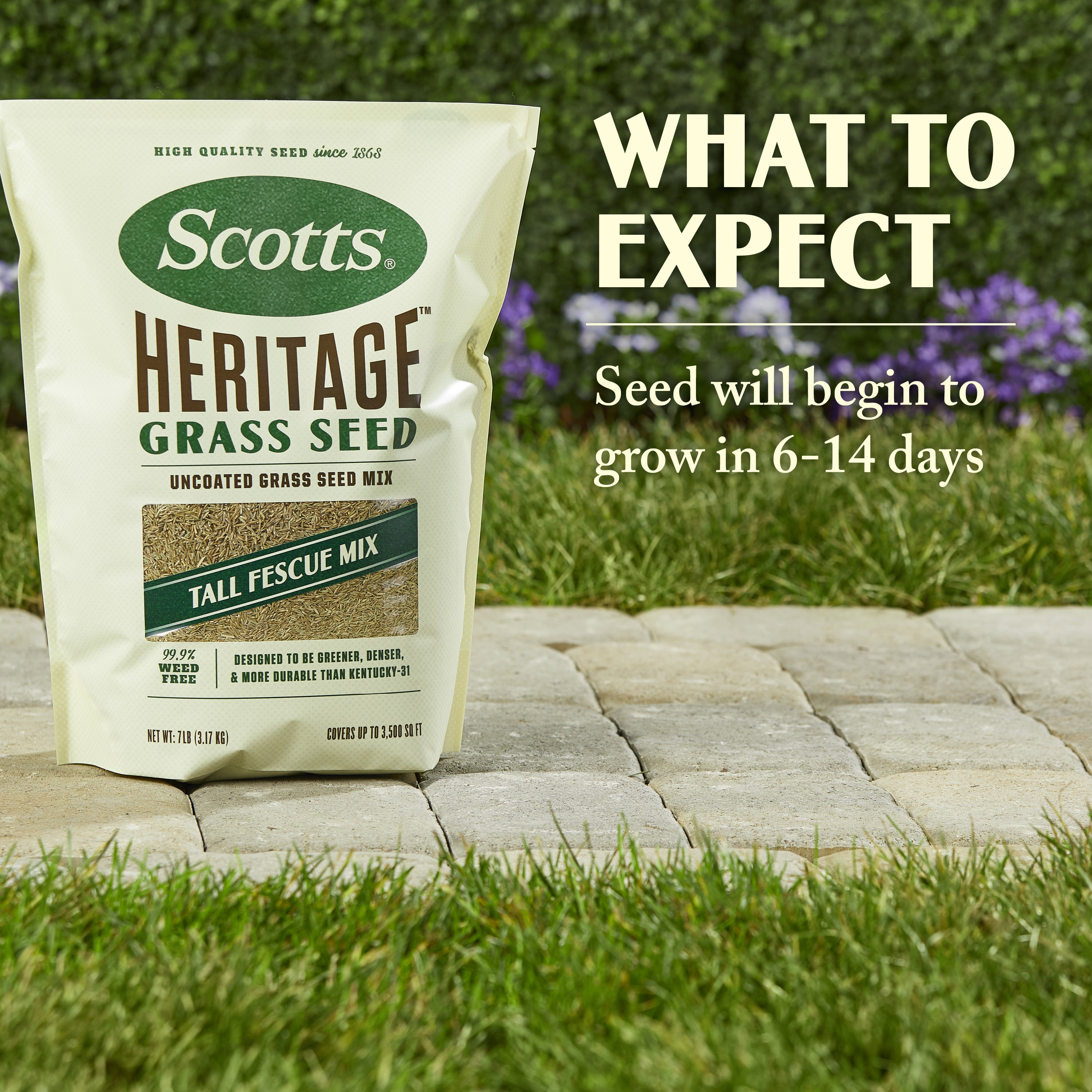 Scotts 17011 Grass-Seed - View #3