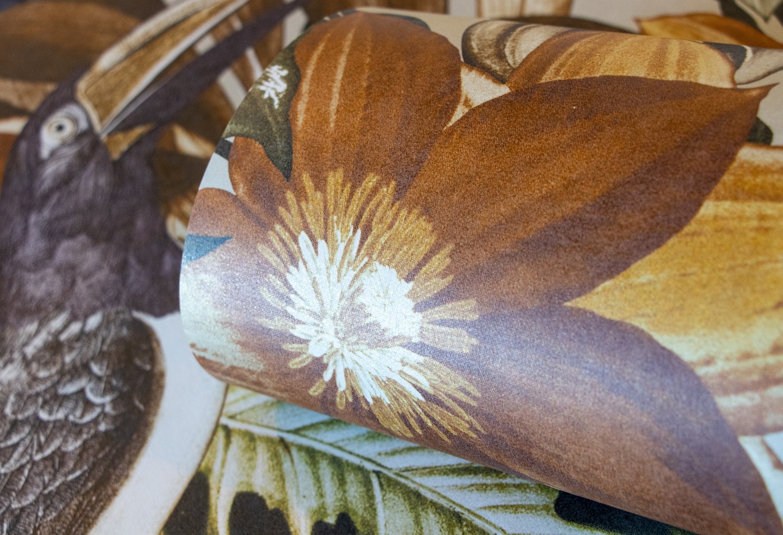 Galerie 26748 wallpaper - View #5