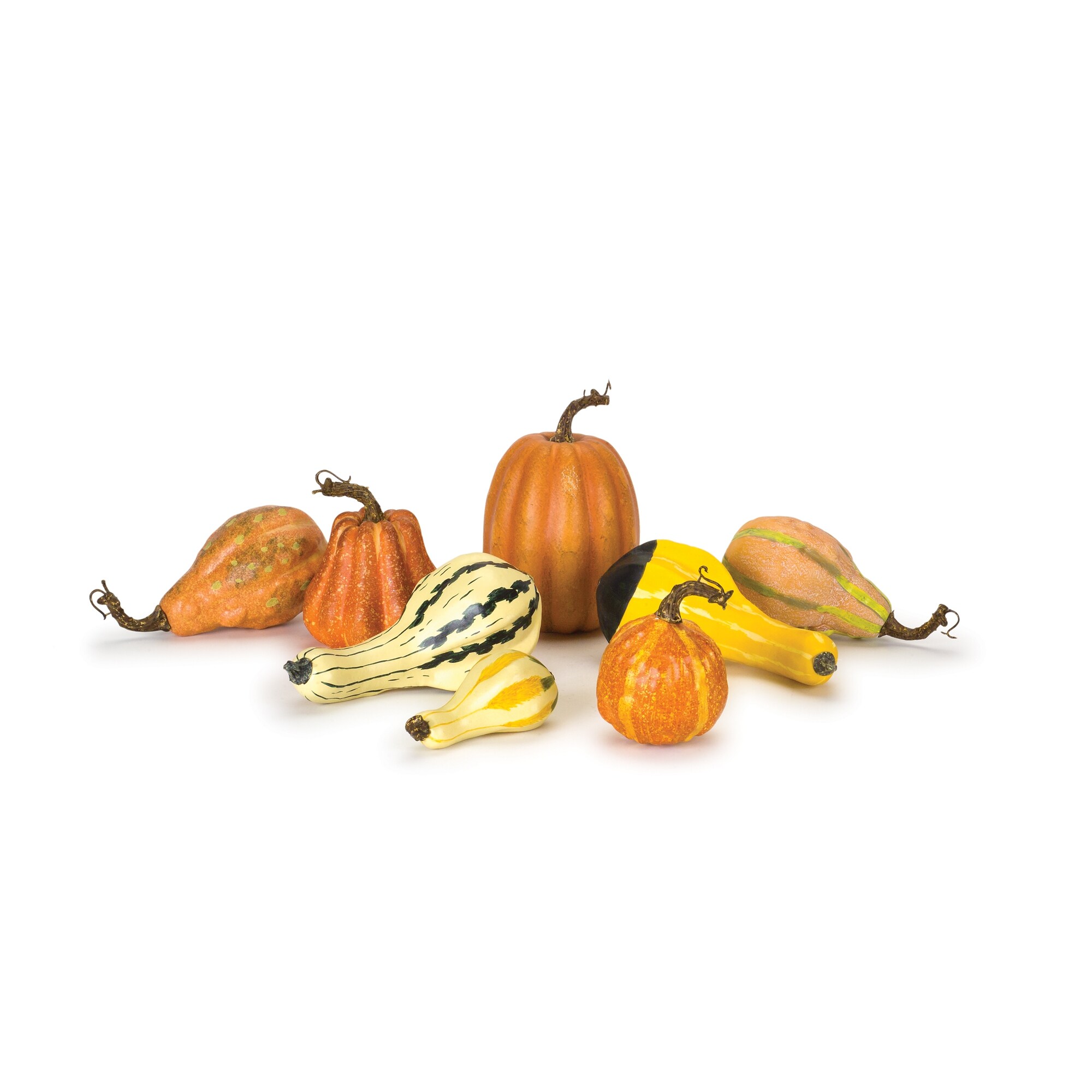 Melrose International 7-in Gourd Craft Pumpkin (8-Pack) at Lowes.com