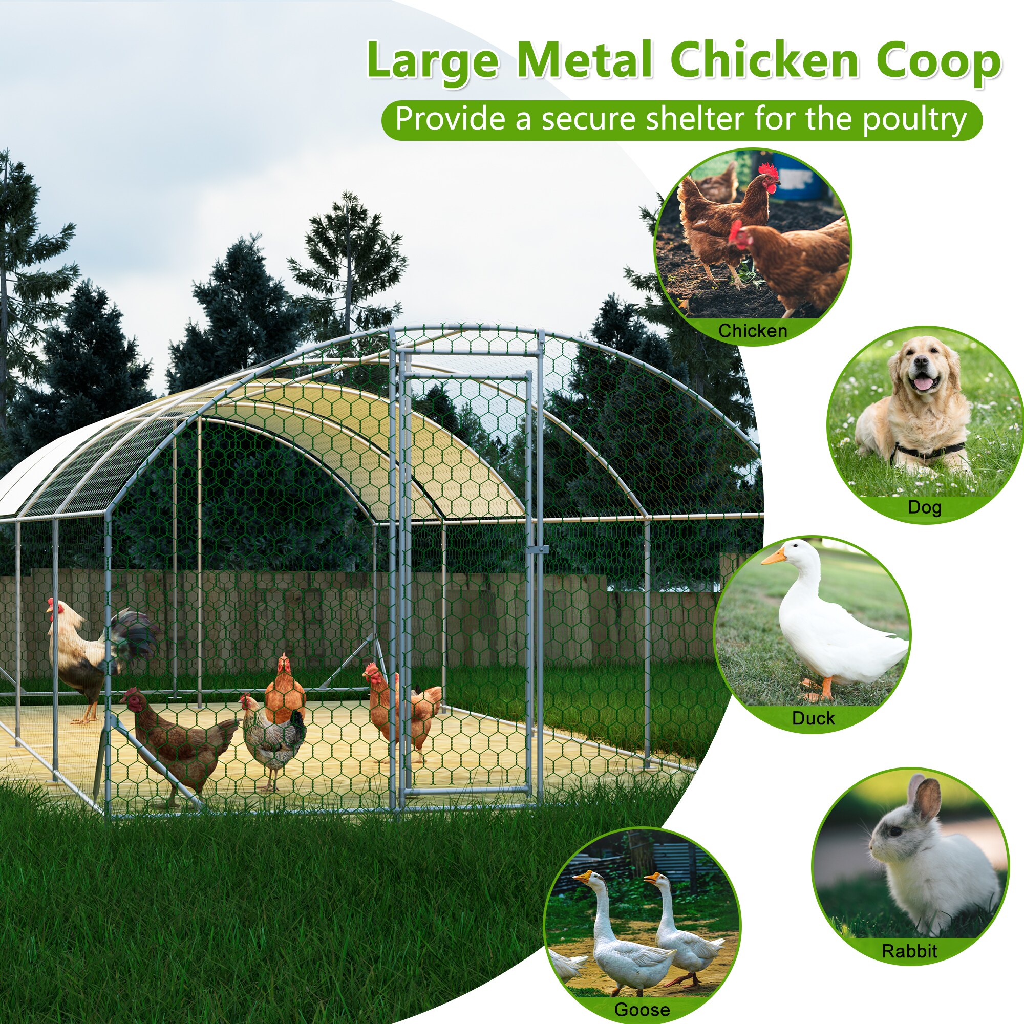 Kahomvis CS-QPW112-612 Chicken-Coops-Rabbit-Hutches - View #7