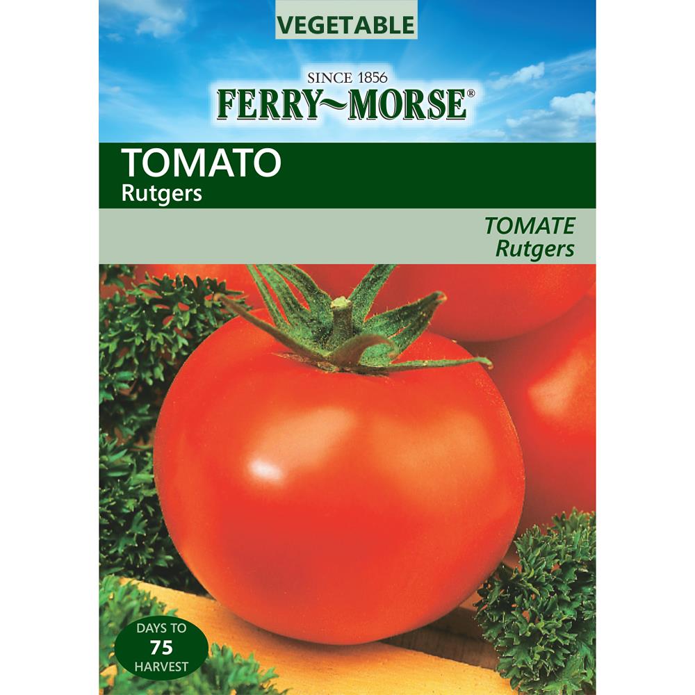 Ferry-Morse 700 Milli-Gram Tomato Rutgers (L0000) at Lowes.com