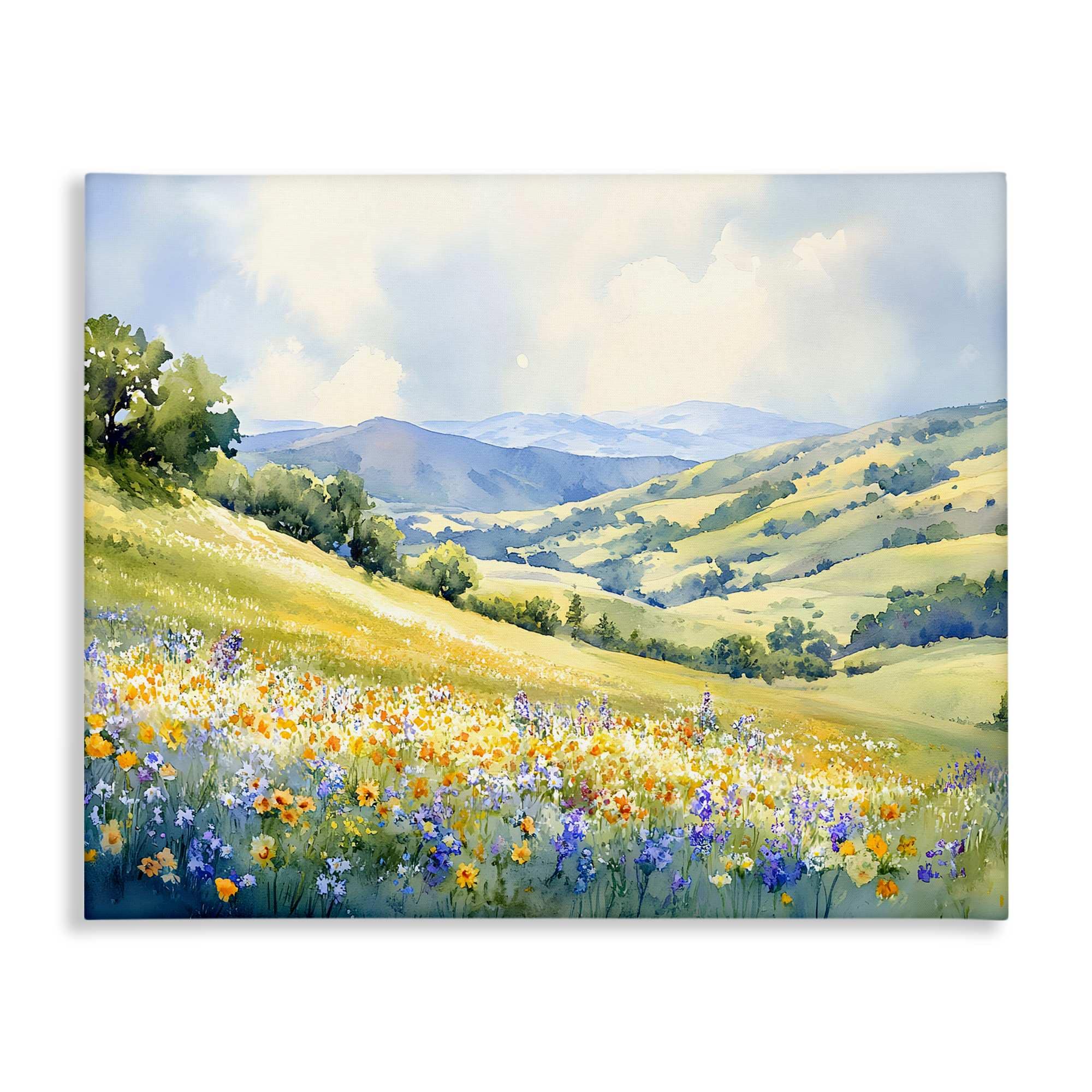 Stupell Industries BT-778-CN-36X48 Spring Meadow with Distant Mountain Canvas design by Franklyn Gregory