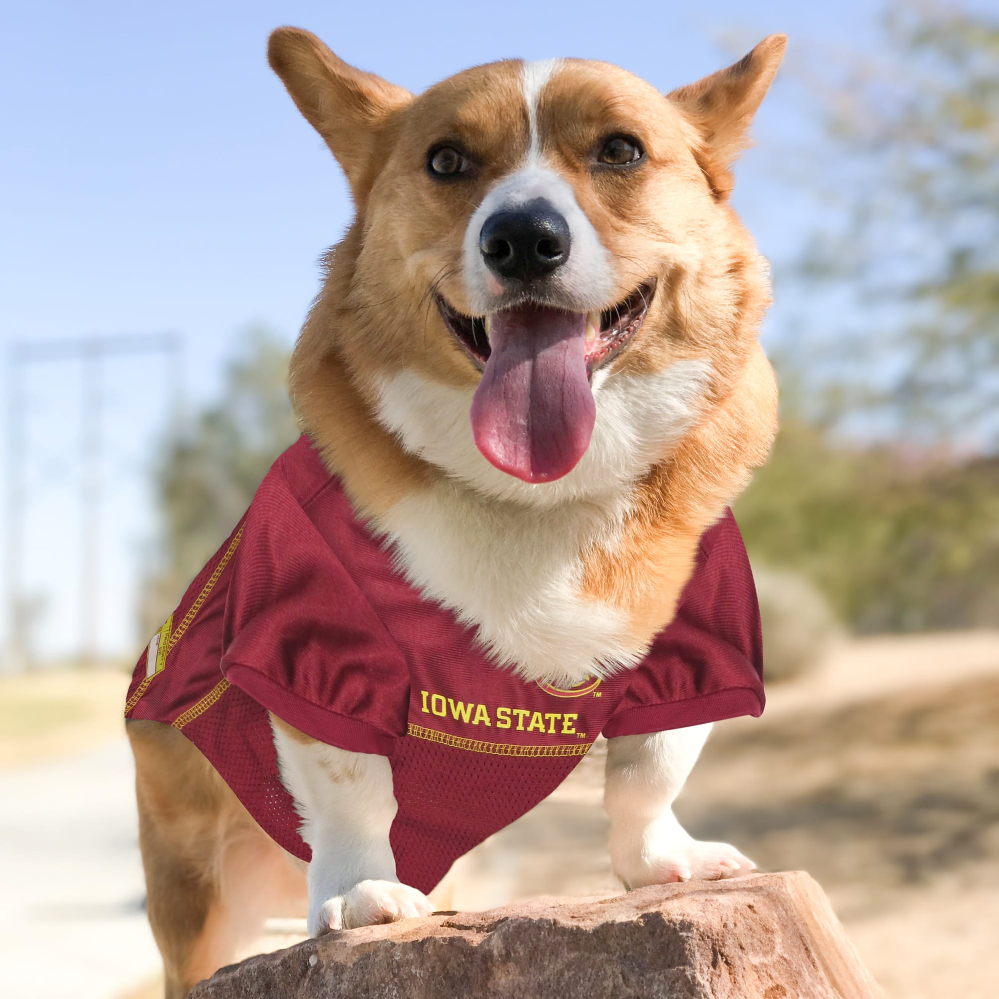 Pets First IS-4006-MD Dog-Clothing-Acc - View #3