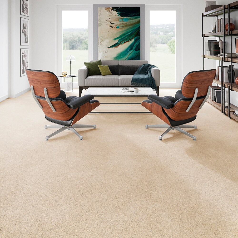 STAINMASTER PetProtect SS007-L018-0808 Carpet-Samples - View #5