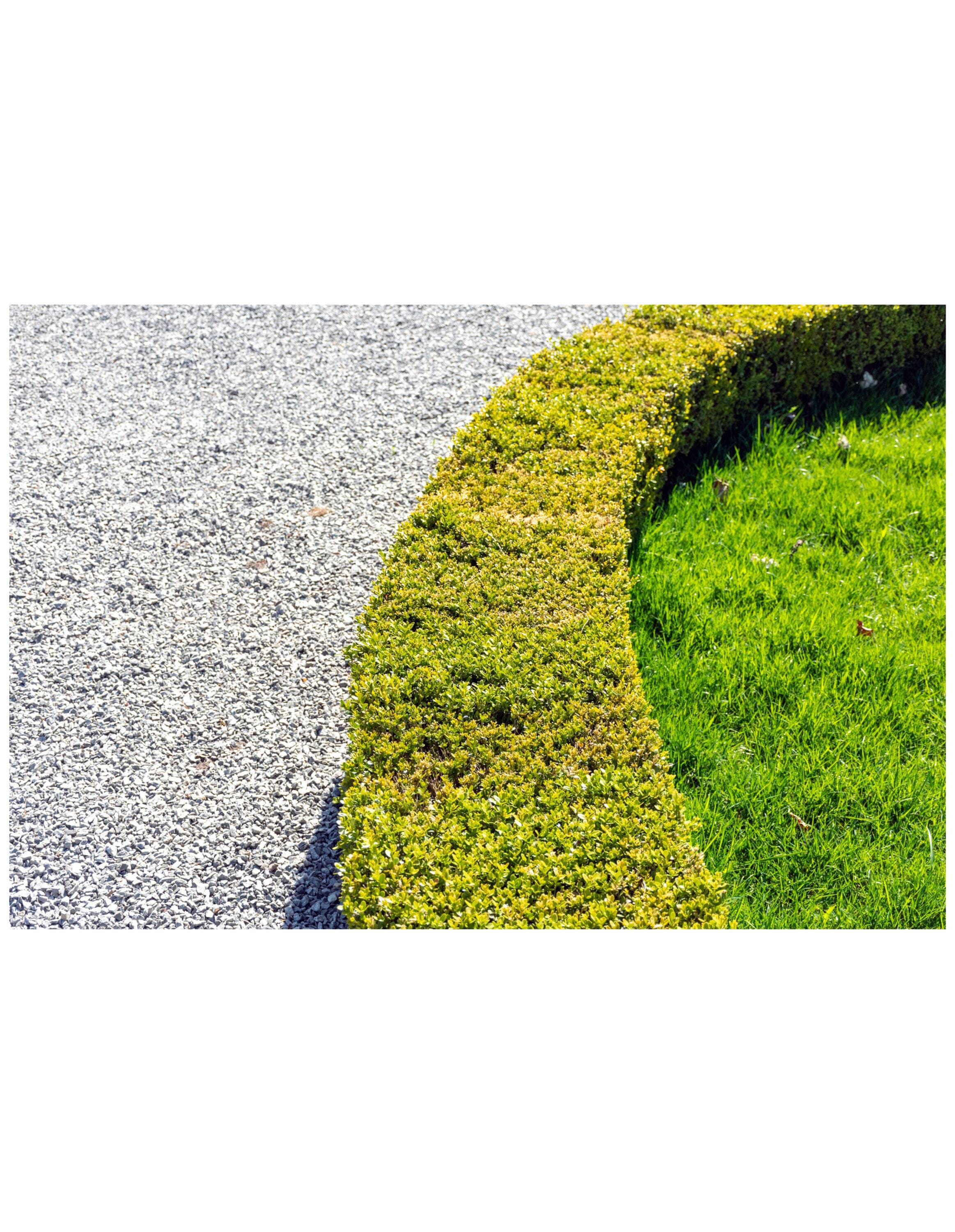 Anchorage Sand & Gravel 132740 Landscaping-Rock - View #5
