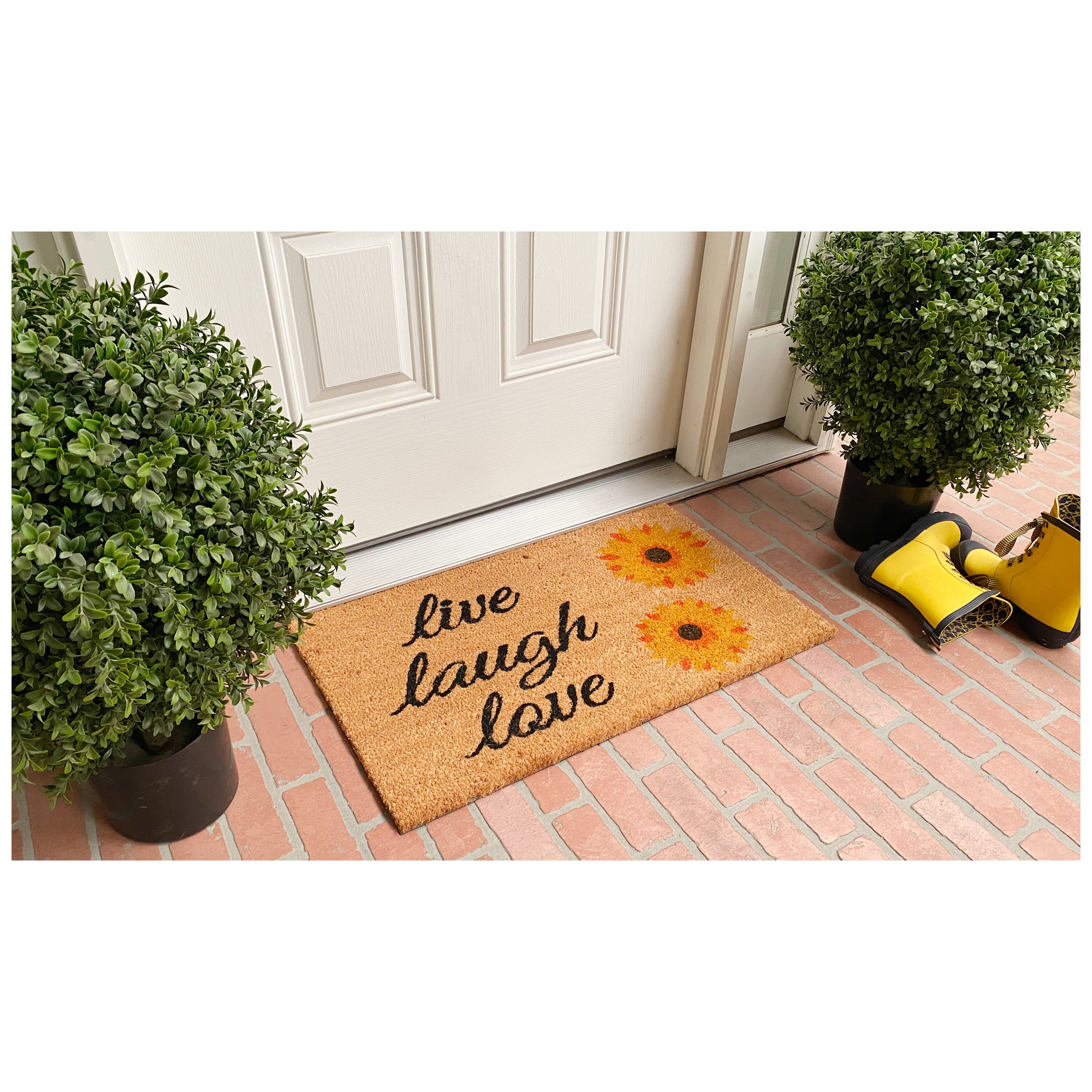 Callowaymills 102832436 Mats-Cat - View #2