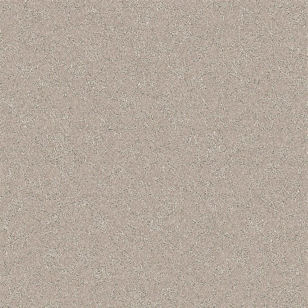 STAINMASTER PetProtect LU773-9513A (Sample) Family Member Coastal Landscape Brown 35-oz sq yard Nylon Pattern Indoor Carpet