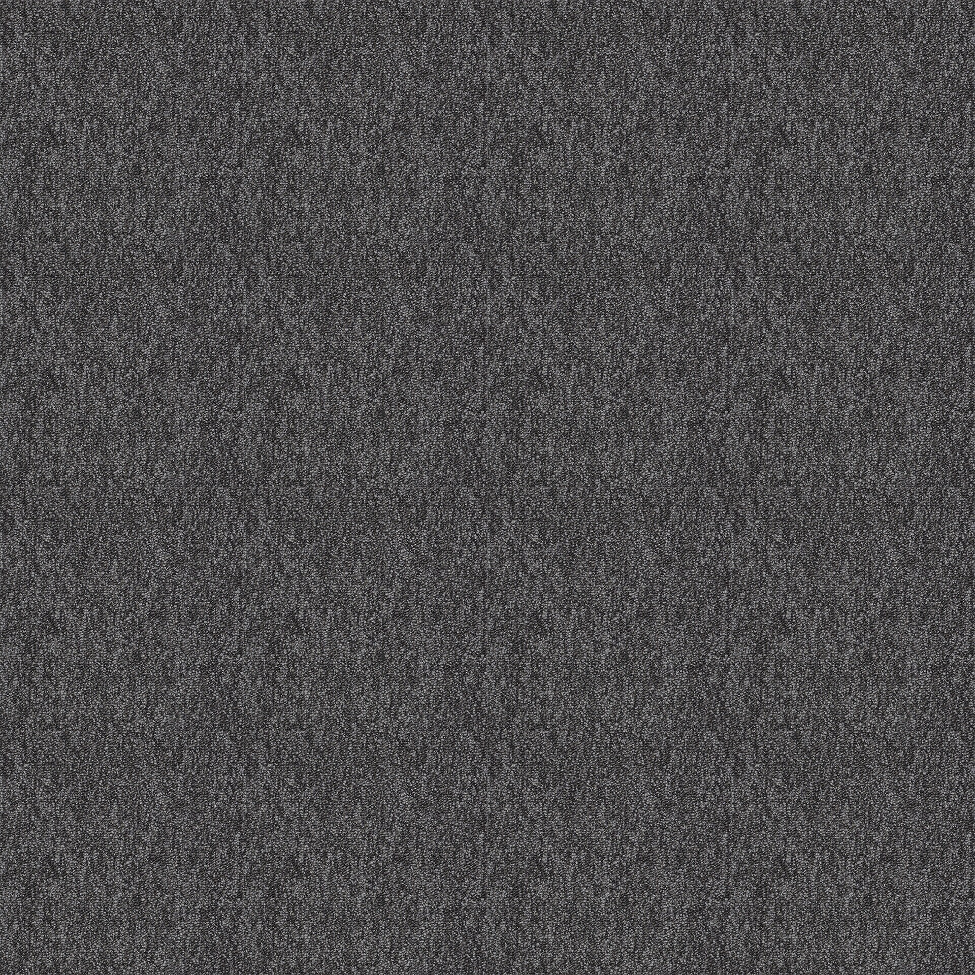 Shaw 7P0VB00502 Carpet-Tile - View #4