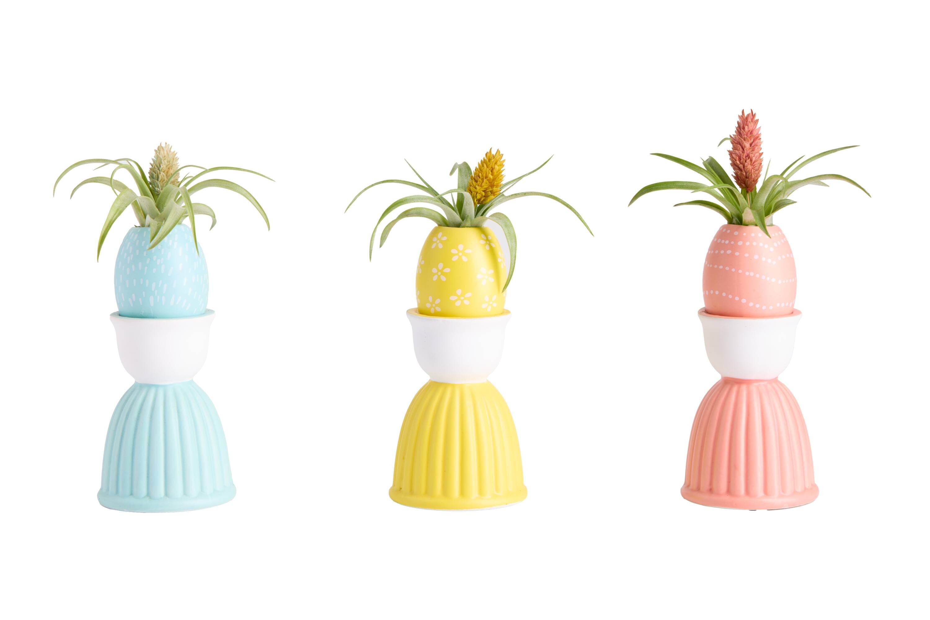 LiveTrends ASB08932 Eggs in a Basket - Air Plant House plant in 3 -Pack Figurine 3 -Pack