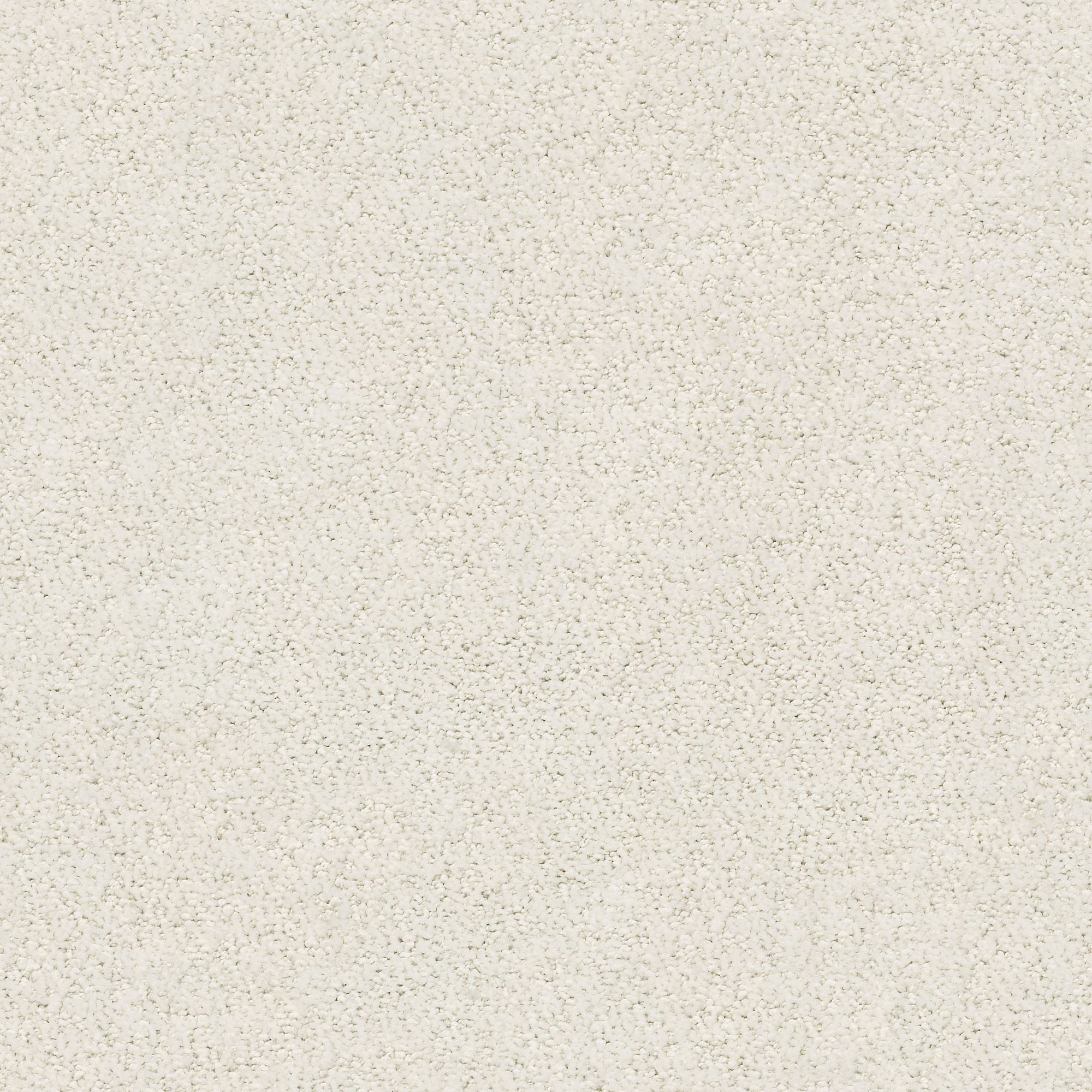 STAINMASTER PetProtect 7L884 - 100 - SAMP (Sample) Happy Tails Cotton Off-white 29.2-oz sq yard Nylon Pattern Indoor Carpet