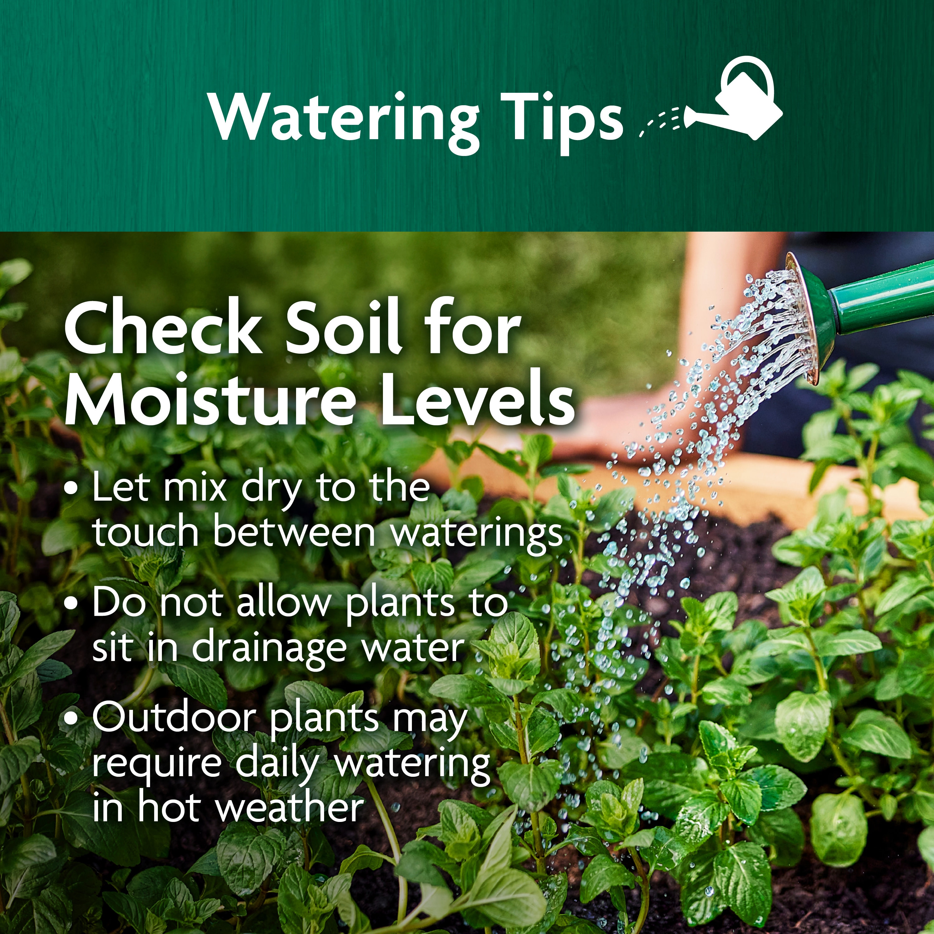 Miracle-Gro 73859430 Garden-Soil-Soil-Amendments - View #11