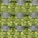 Light Moss
