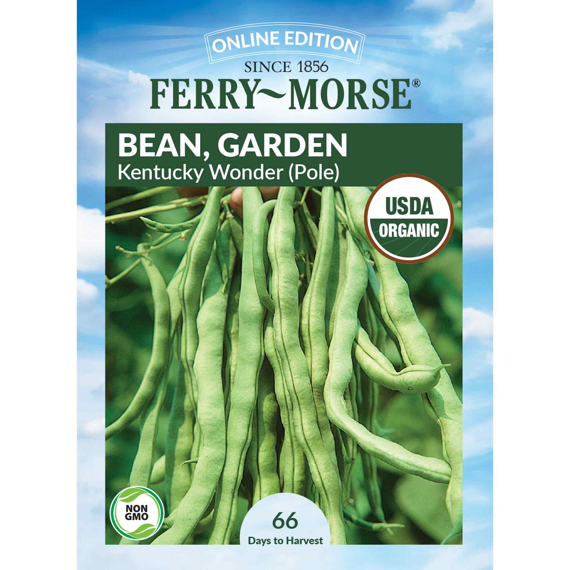 Ferry-Morse LC25.1402 Organic Bean Seeds 17.5 Gram(s)
