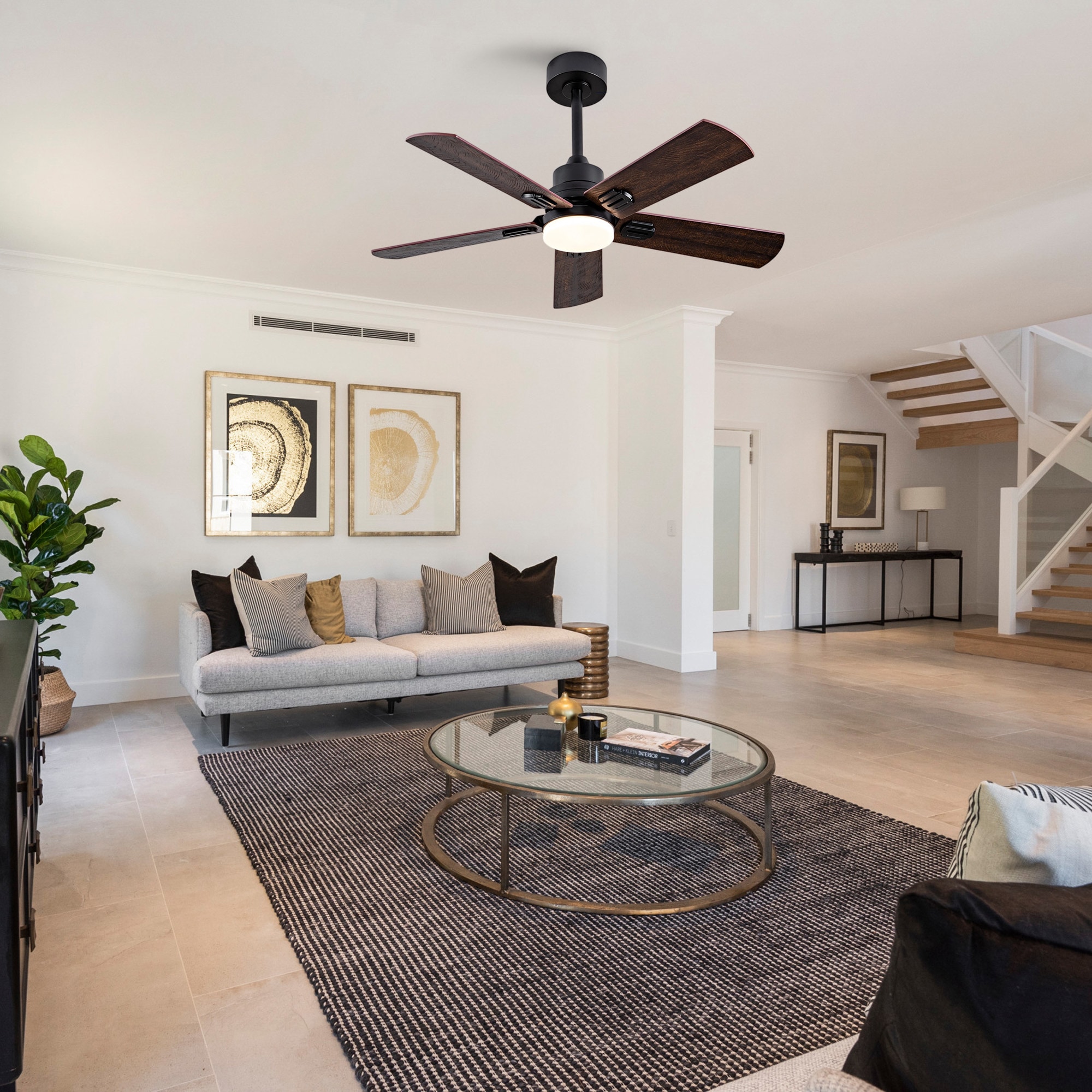 Shinevoy ZSP397414 Ceiling-Fans - View #5