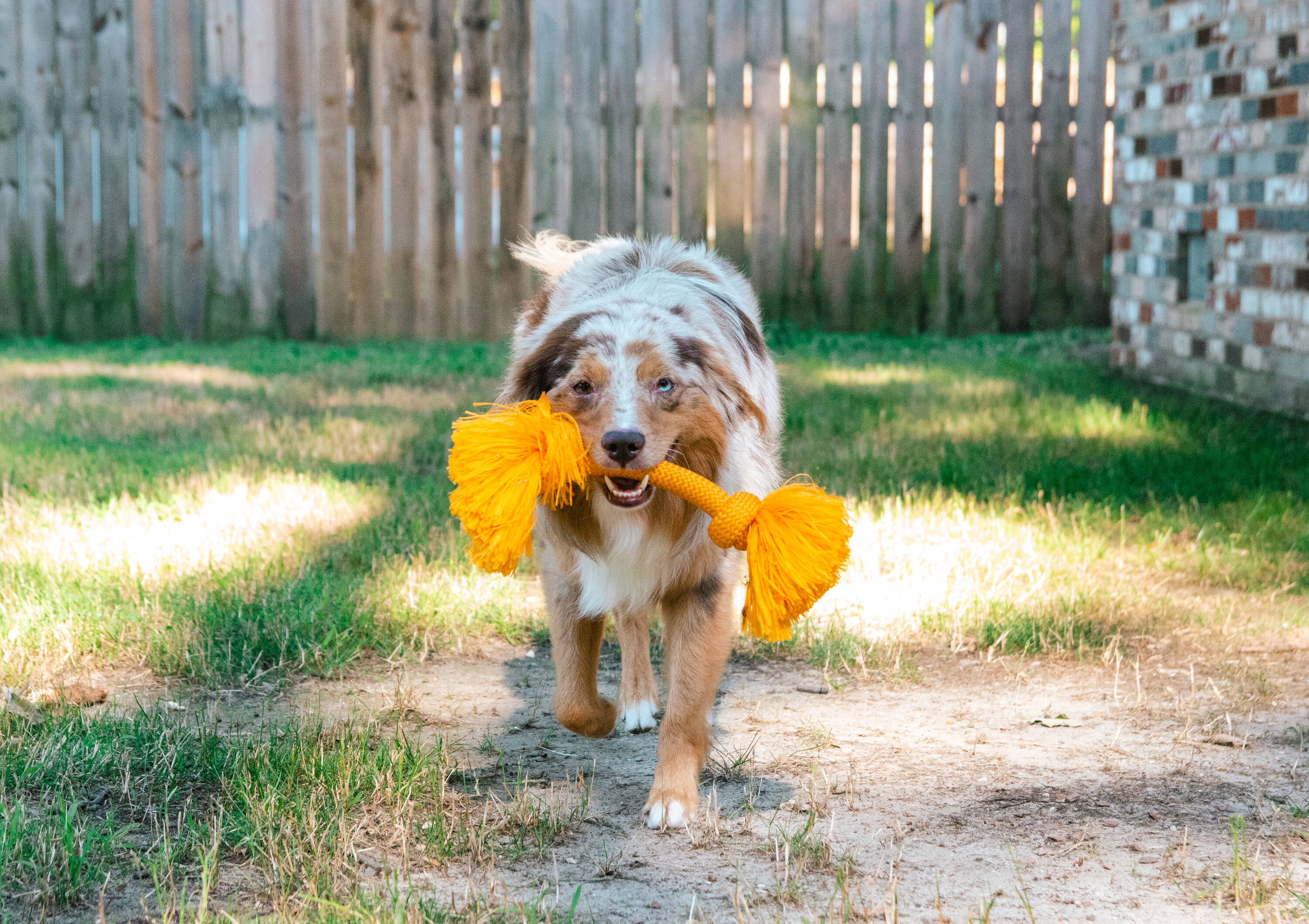 Playology Dri-Tech Rope Dog Toy Beef Small