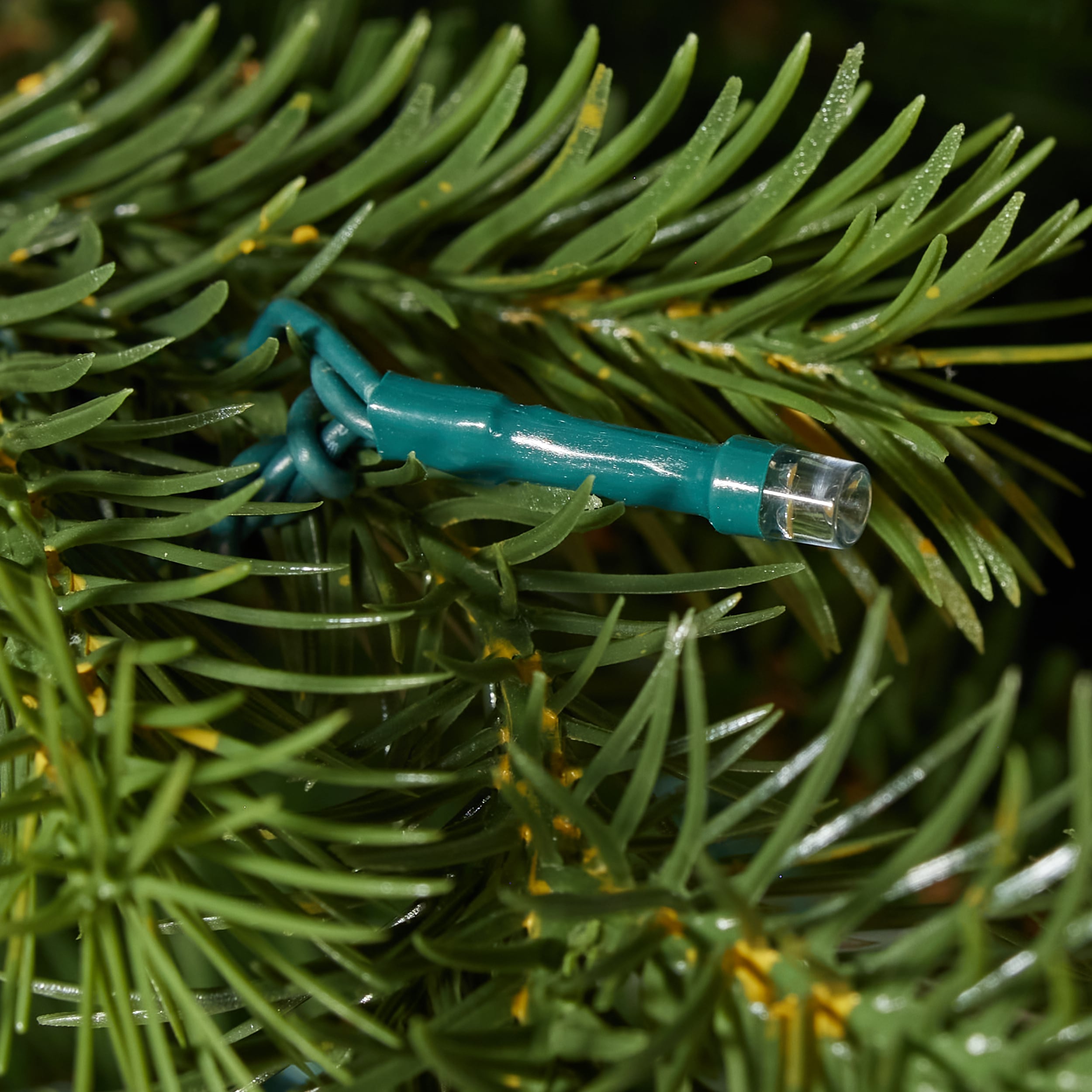 ge cedar rock fir tree