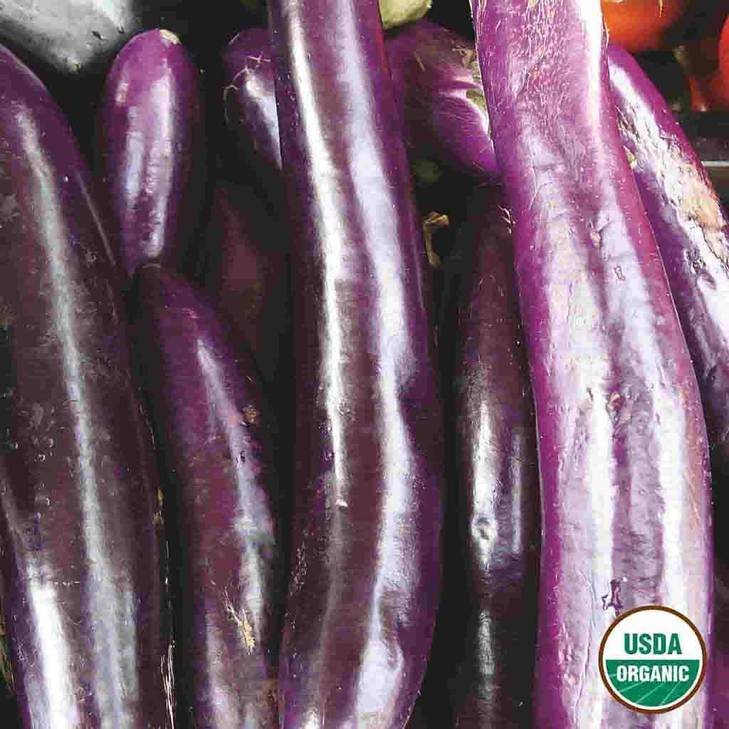 Ferry-Morse LC25.1403 Vegetable-Herb-Seeds - View #3