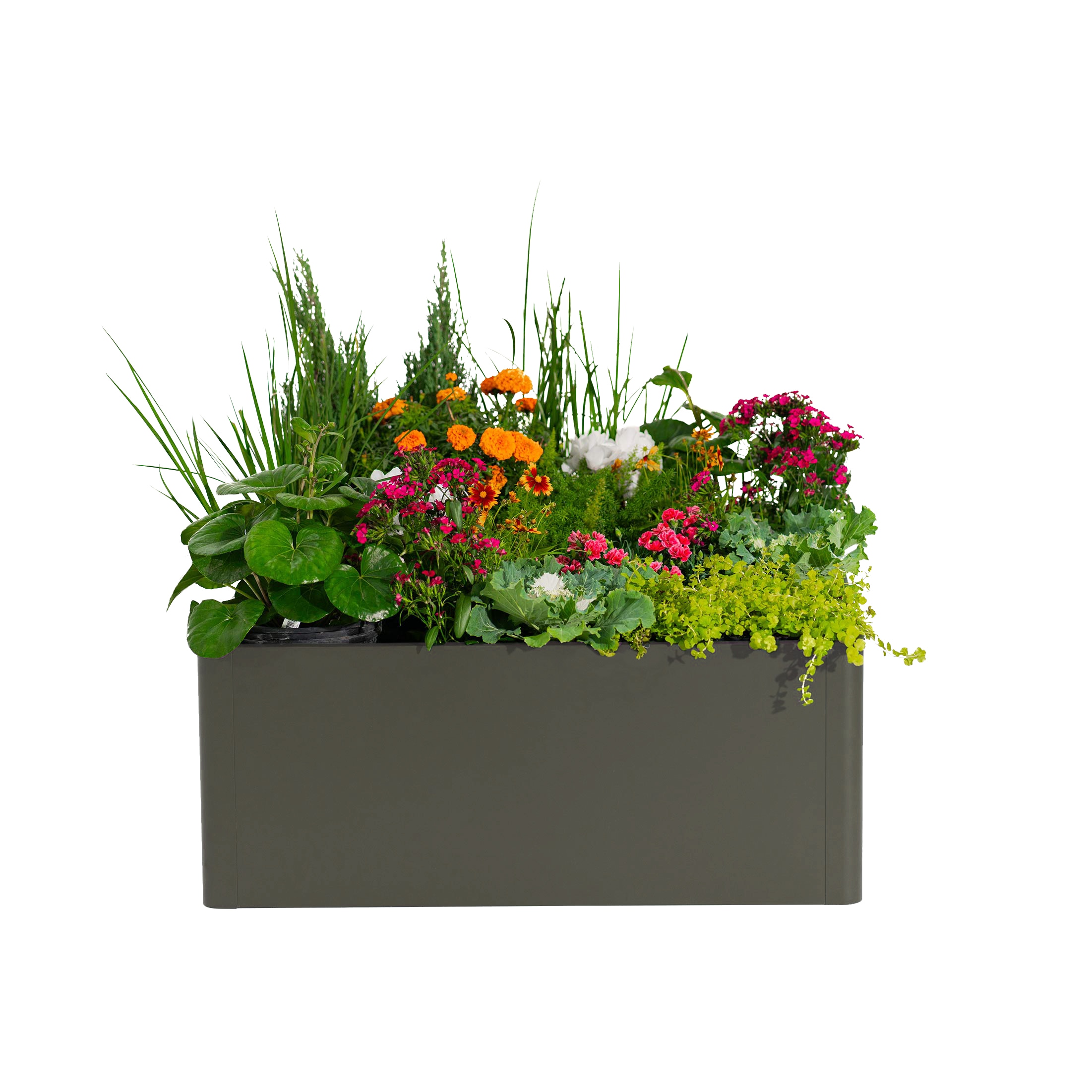 Vego Garden VBM4242CH Raised-Garden-Beds - View #2