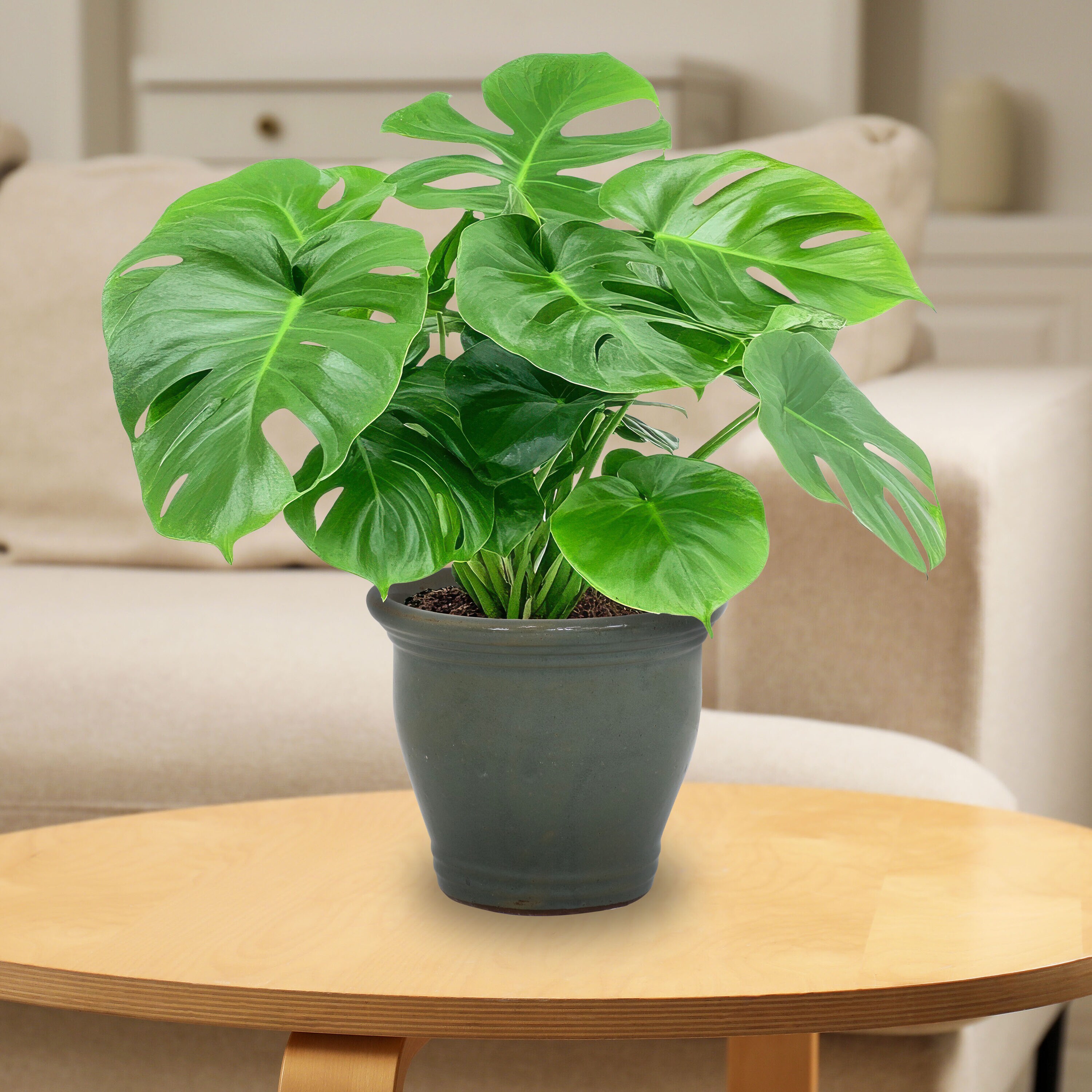 Sunnydaze Decor AP-995 Planter-Window-Box - View #11