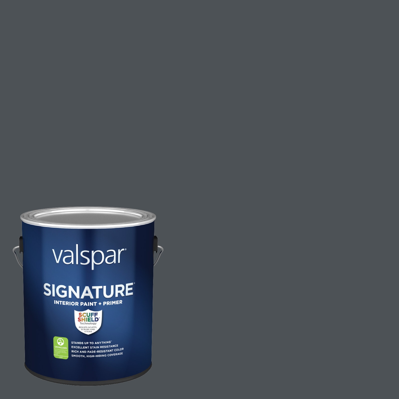 Valspar Signature Semi-gloss Chimney Smoke 4010-1 Latex Interior Paint ...