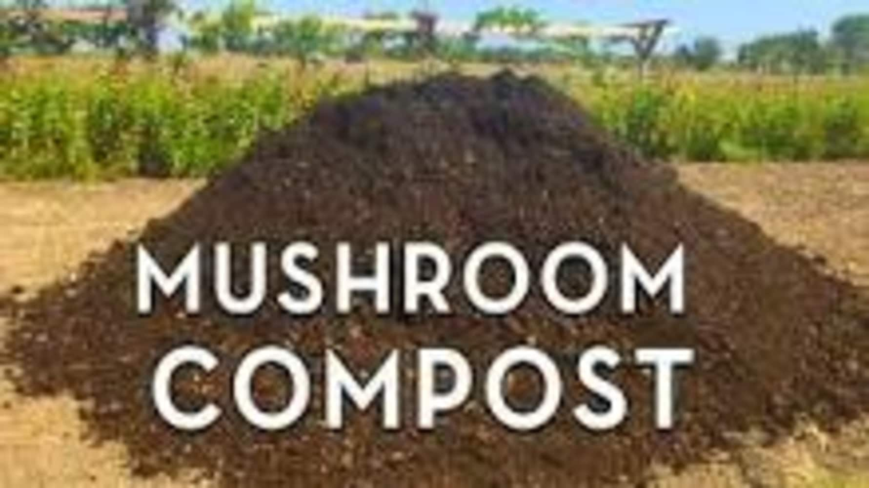 Permagreen Pro Mushroom Compost 1.5-cu ft Organic Compost Provides