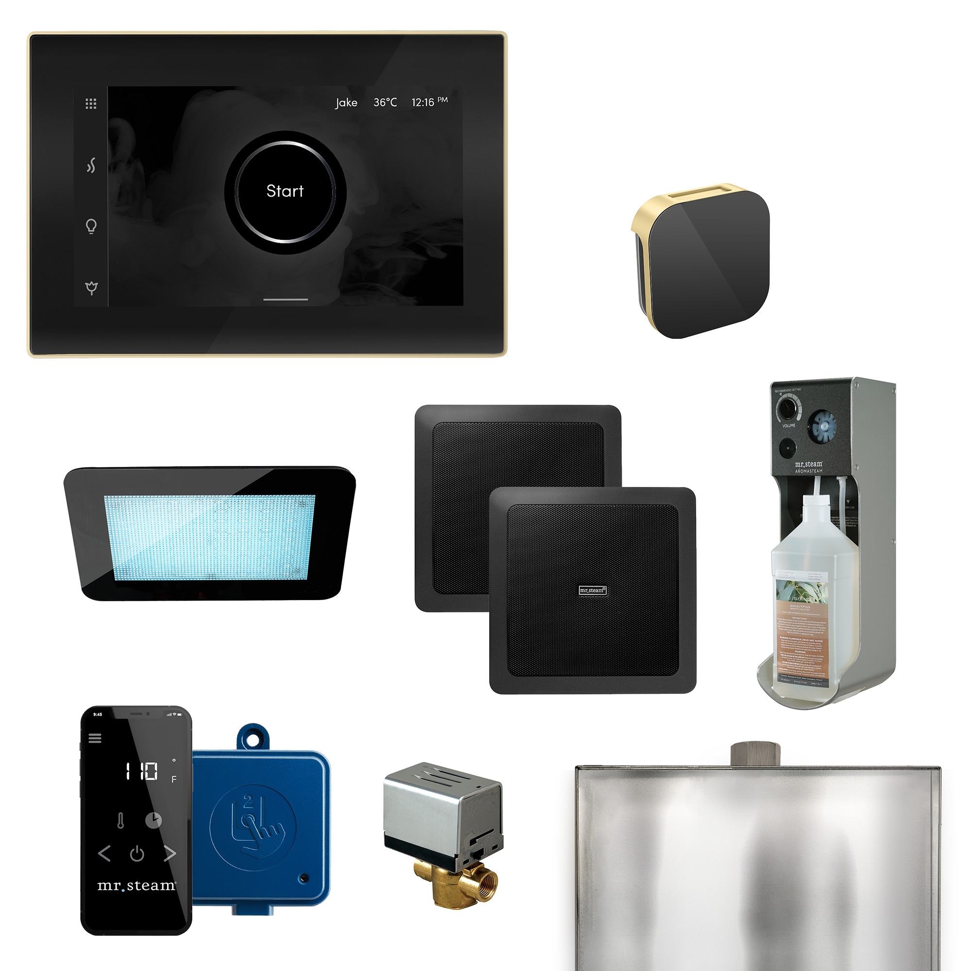 Mr. Steam XDRM1BKSB Xdream 500-Watt Satin Brass Steam generator control kit