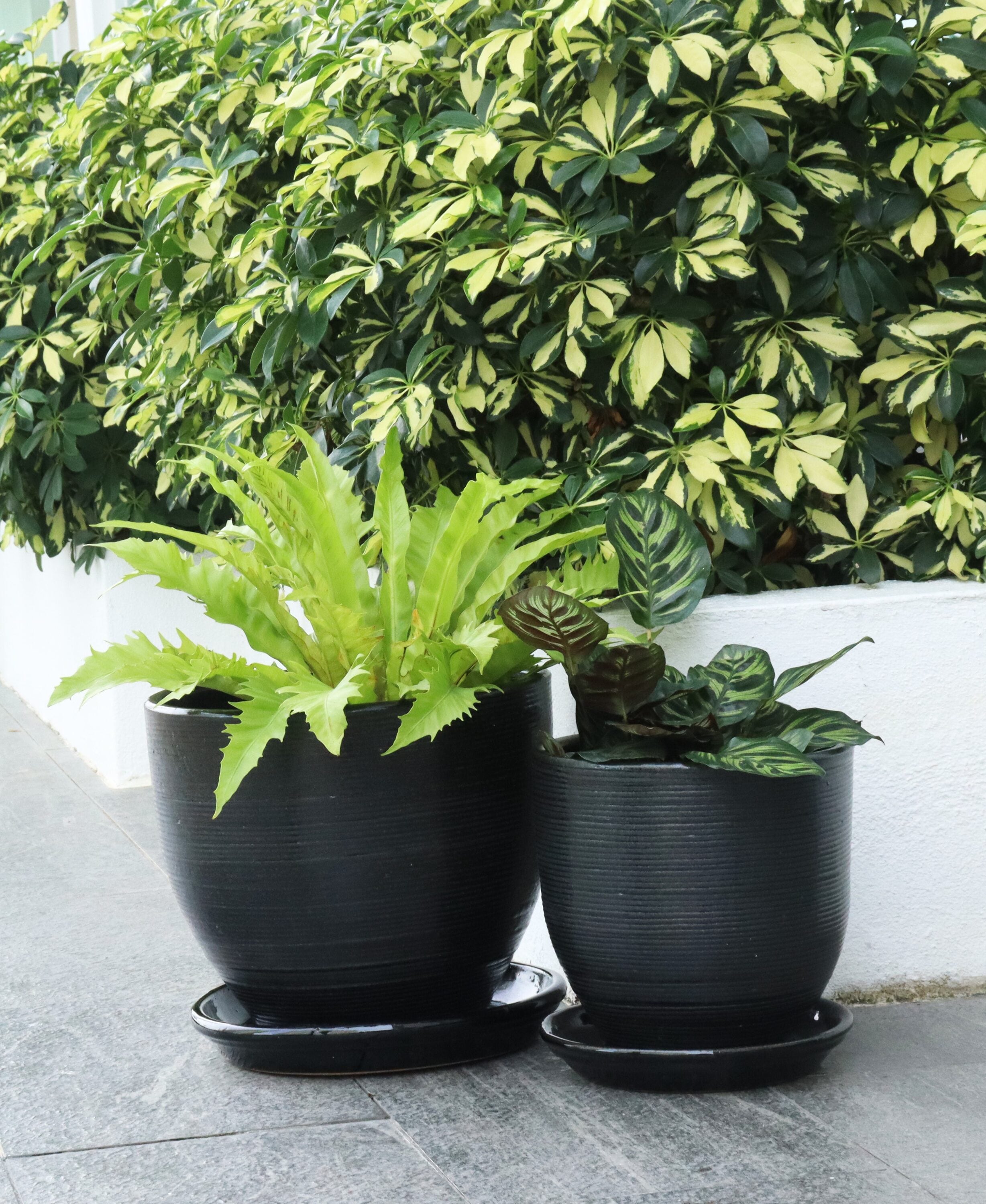 allen + roth GO2025-114 Planter-Window-Box - View #5