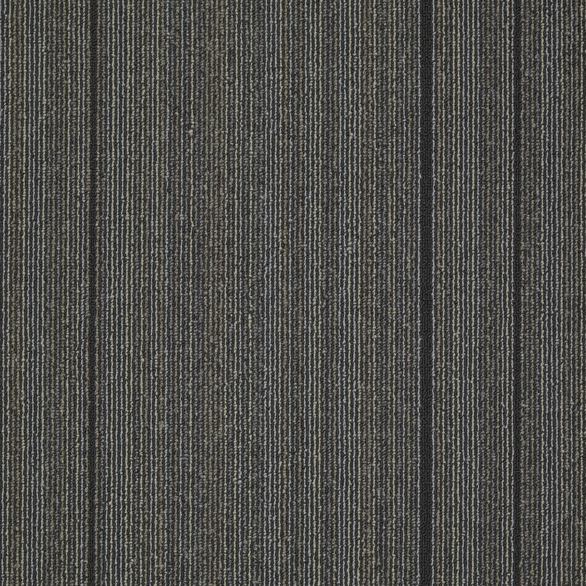 Shaw 7P0VA00795 Vigorous 24-in x 24-in Zealous Gray Commercial Adhesive Indoor Carpet Tile ( 48-sq ft )