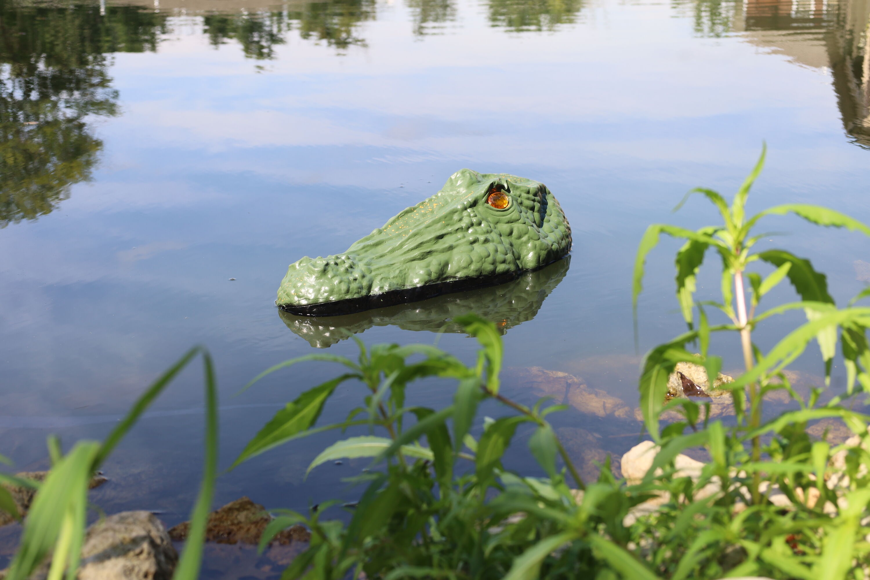 Bird-X GG Animal-Rodent-Control - View #3