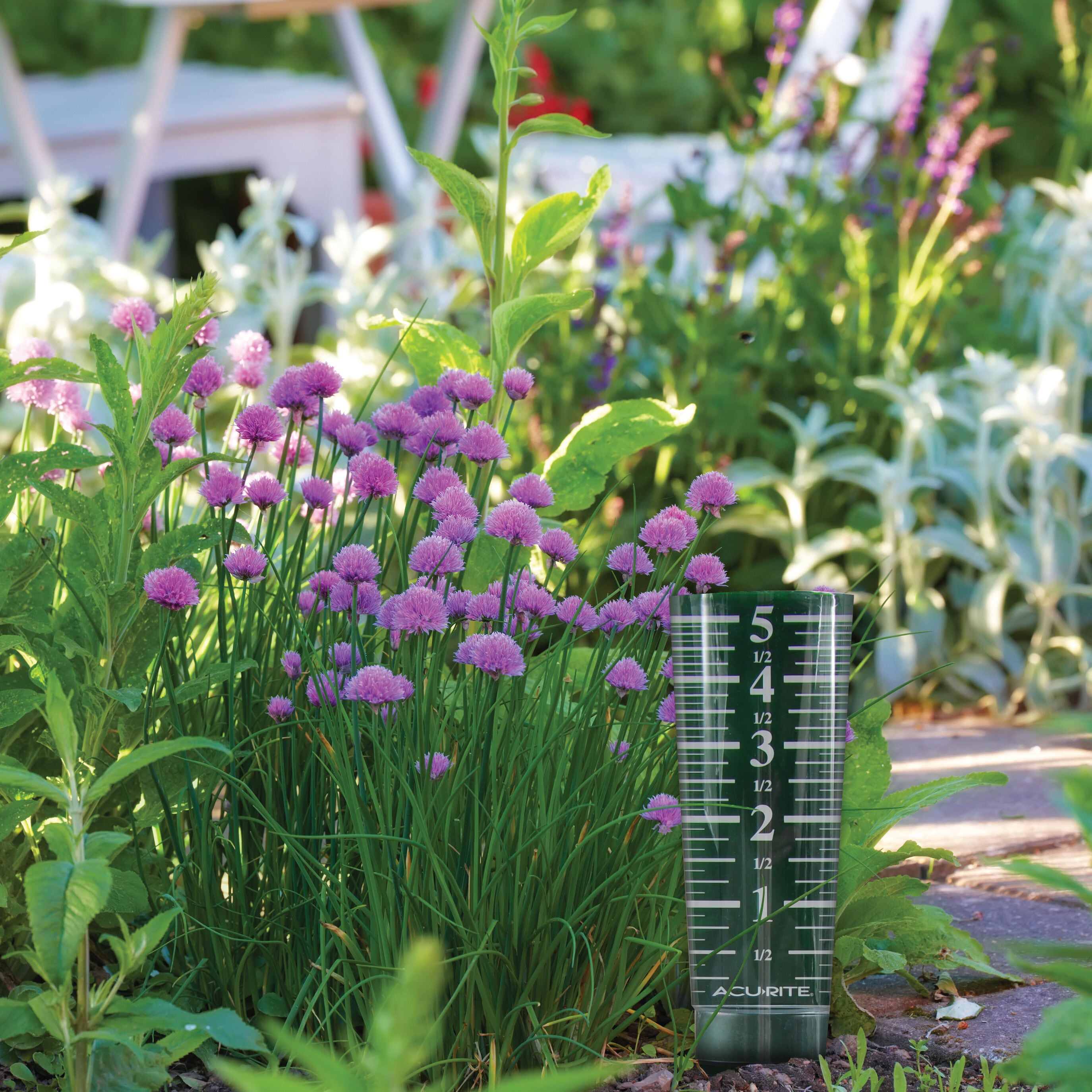 AcuRite 00854SBL Rain-Gauge - View #7