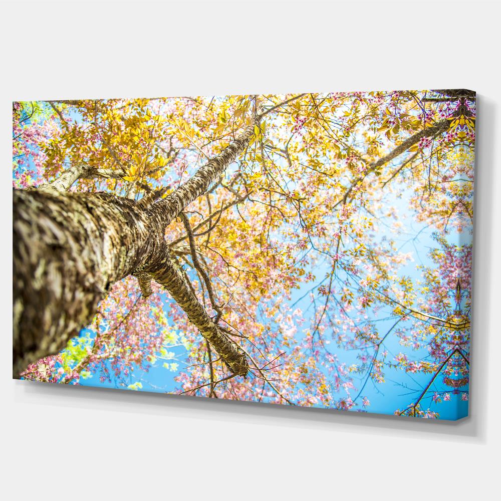 Designart PT14792-32-16 Wall-Art - View #2