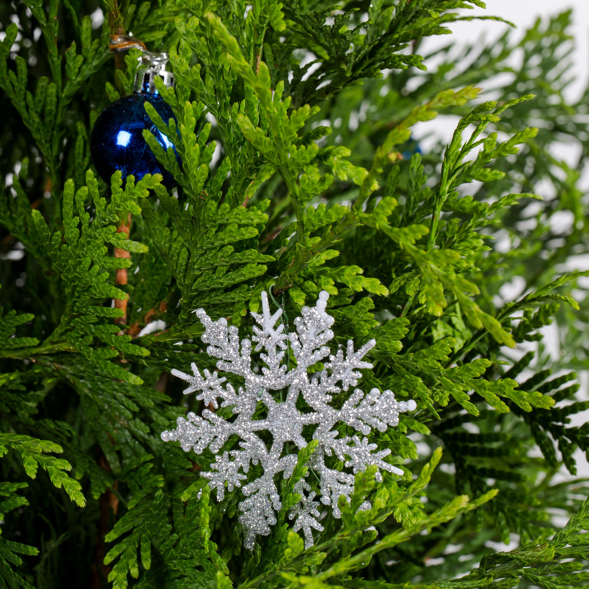 Holiday Living 2592093 shrubs - View #2
