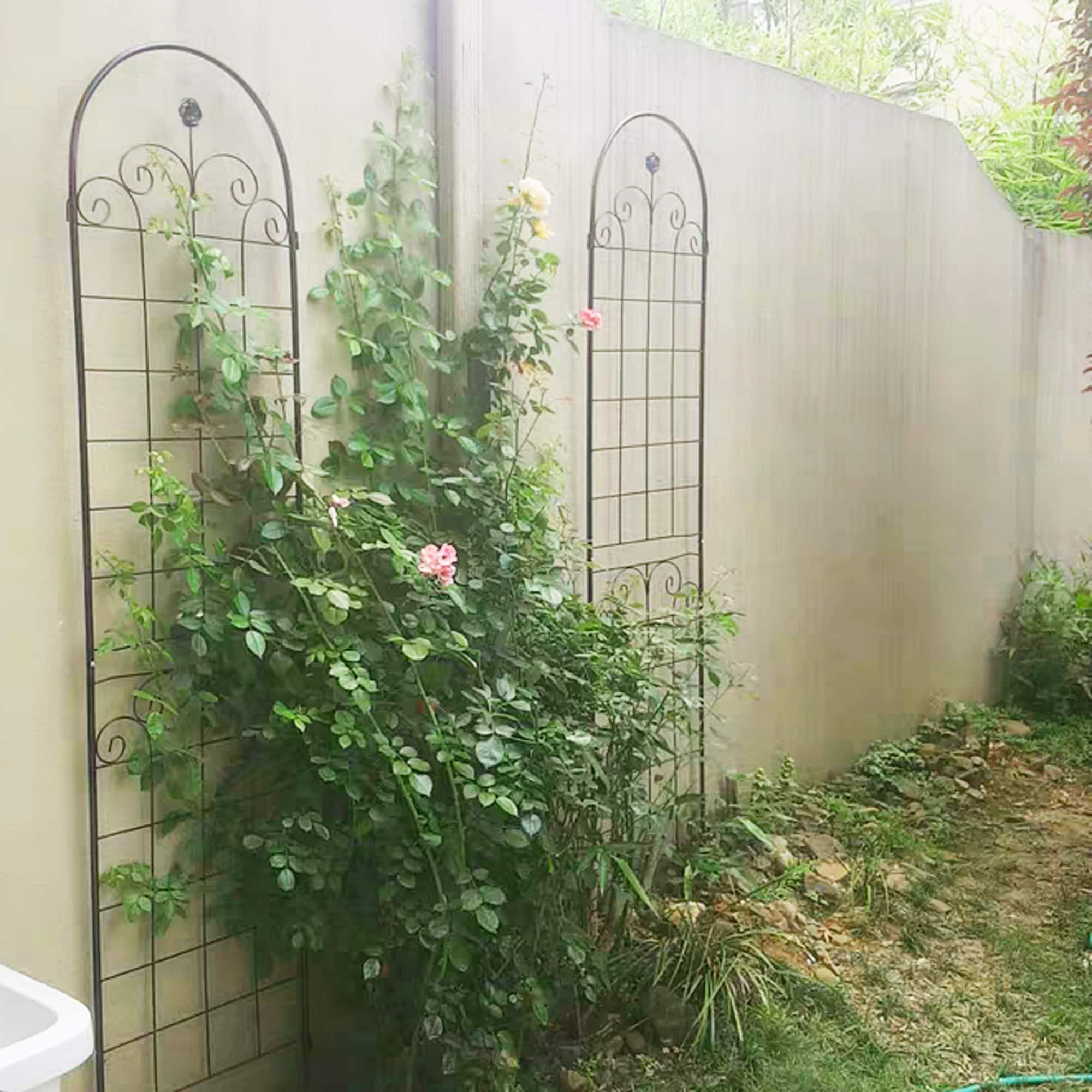 WELLFOR ORQ-297BK Garden-Trellis - View #9