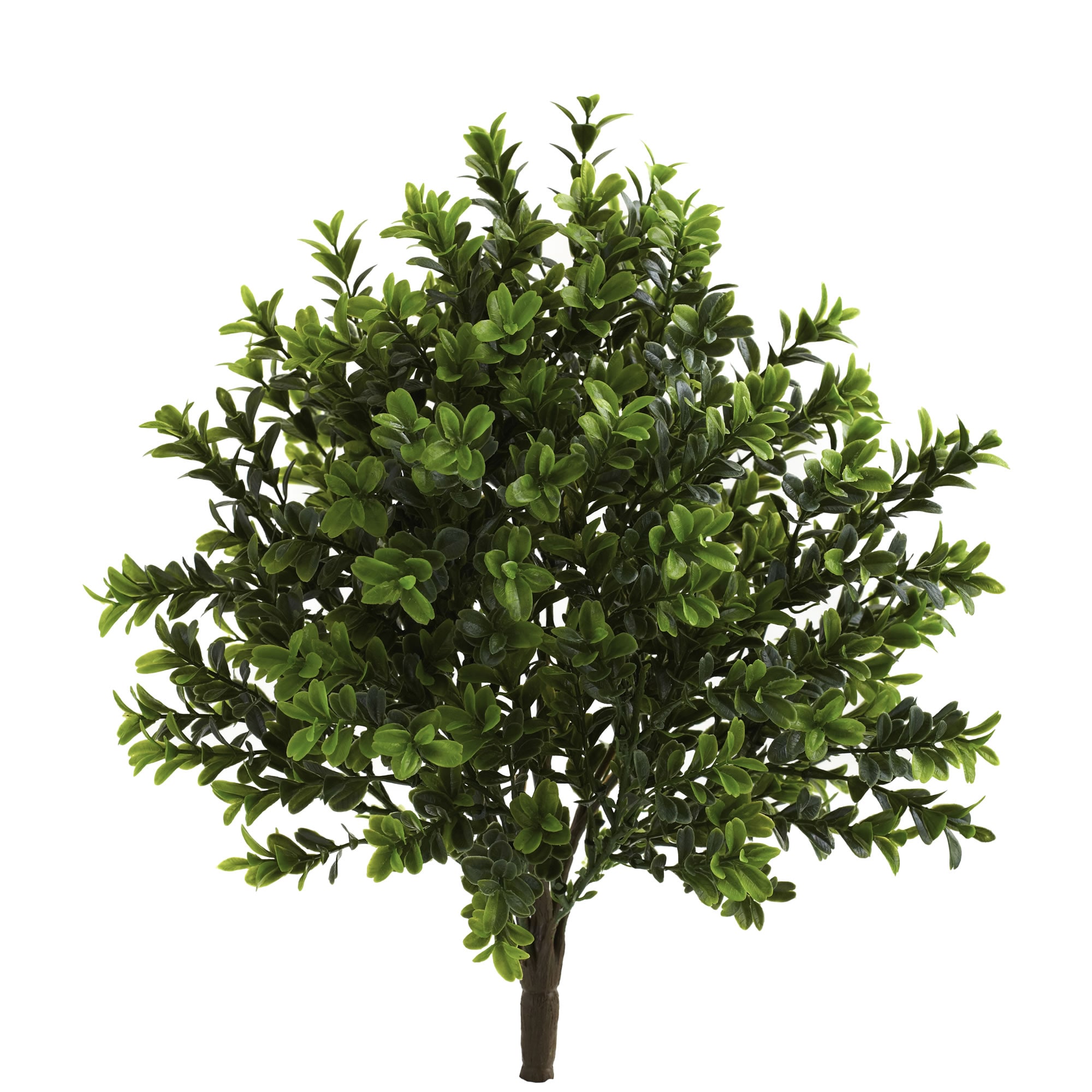 Nearly Natural 6113-S6 15-in Green Indoor/Outdoor Desktop Silk Artificial plant