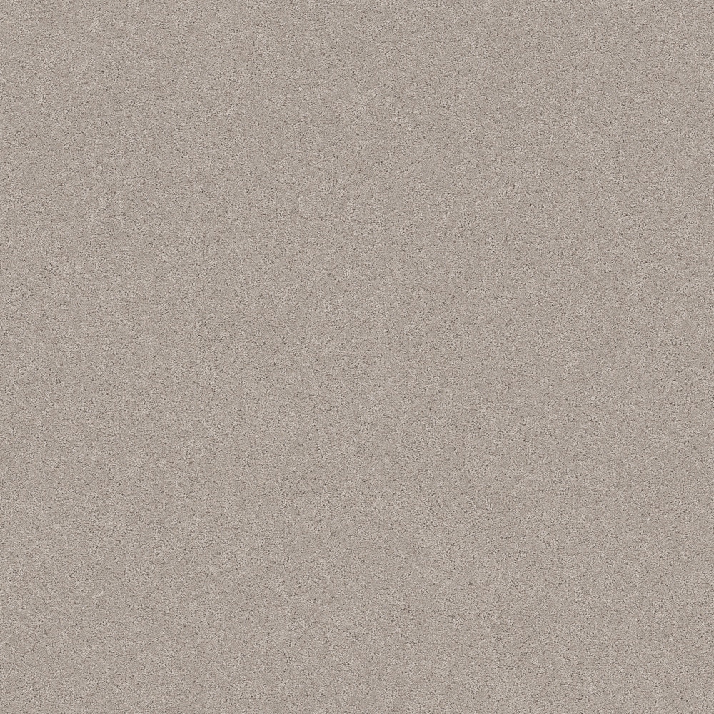 STAINMASTER PetProtect 7L944-124-SAMP (Sample) 8-in x 8-in with LeakDefense Paws Of Joy Chic Taupe Brown 48.8-oz sq yard High-performance polyester Pattern Indoor Carpet