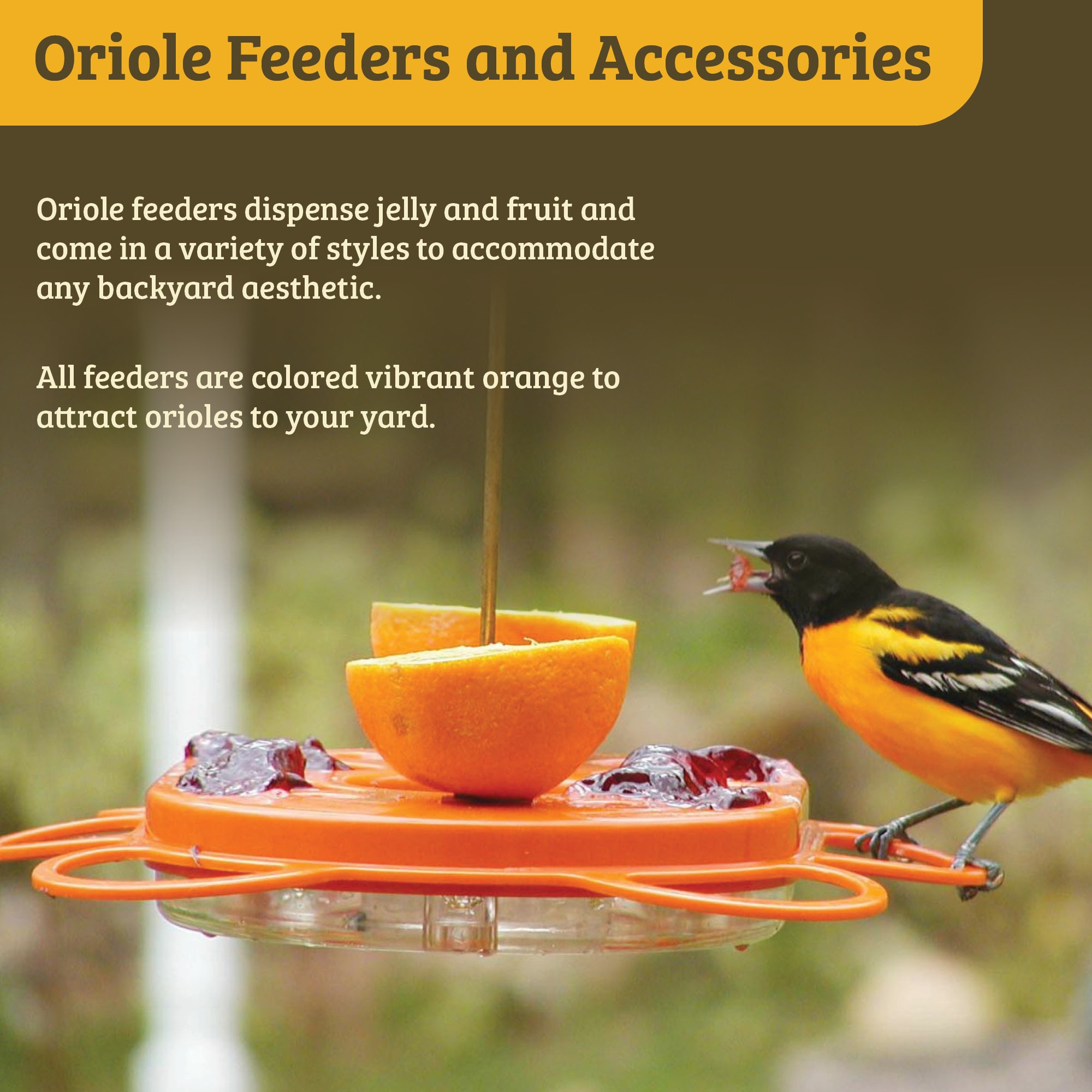 BIRDS CHOICE Oriolefest Polycarbonate Hanging Nectar Oriole Feeder- 12 ...