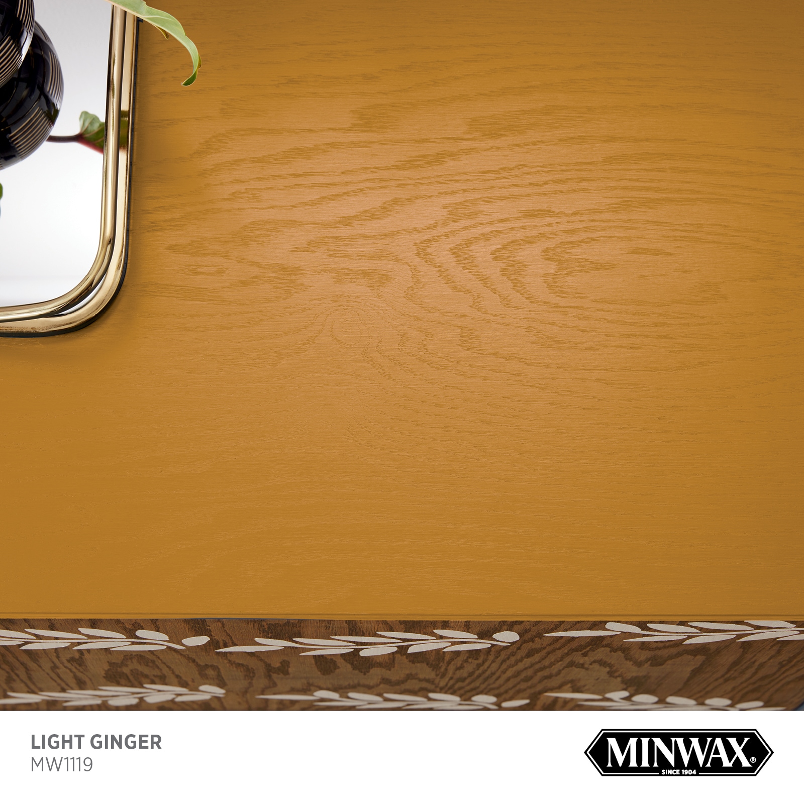 Minwax Wood Finish Water-based Light Ginger Mw1119 Solid Interior Stain ...