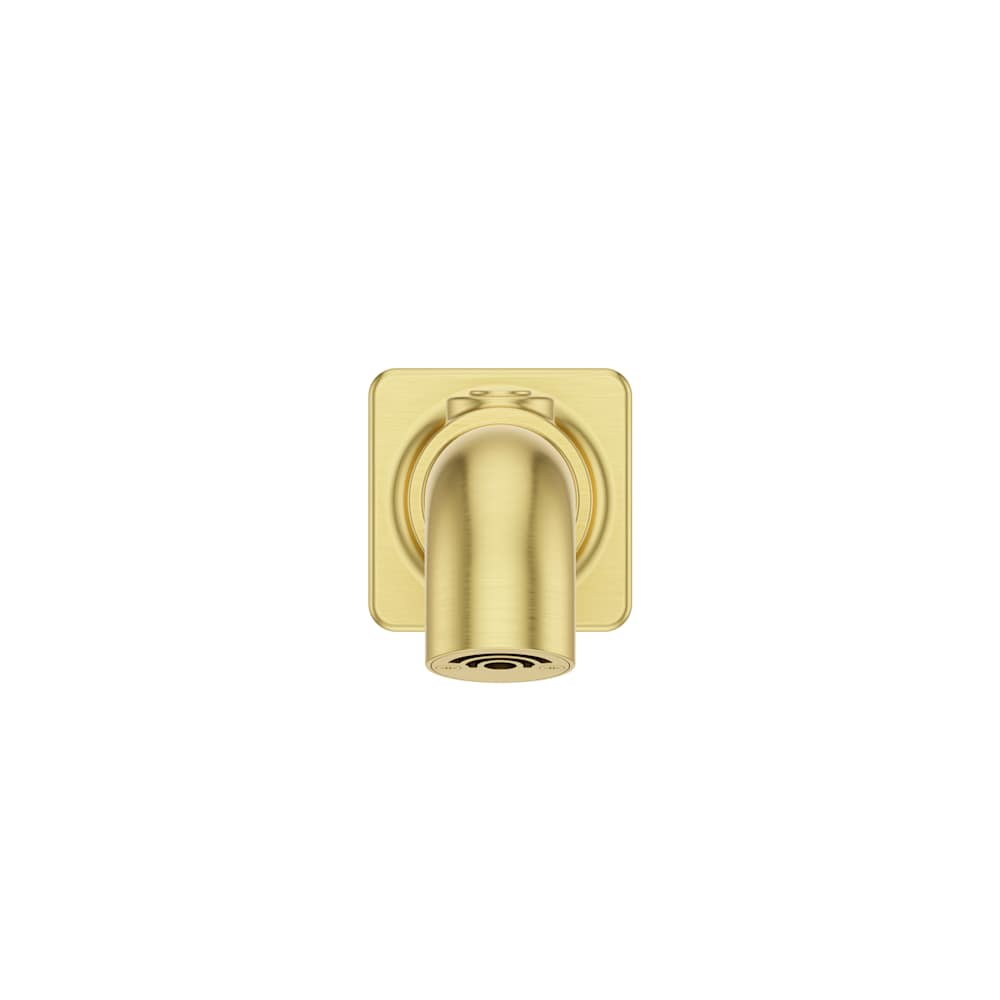 Pfister TBS-05SHWD Tub-Spout - View #10