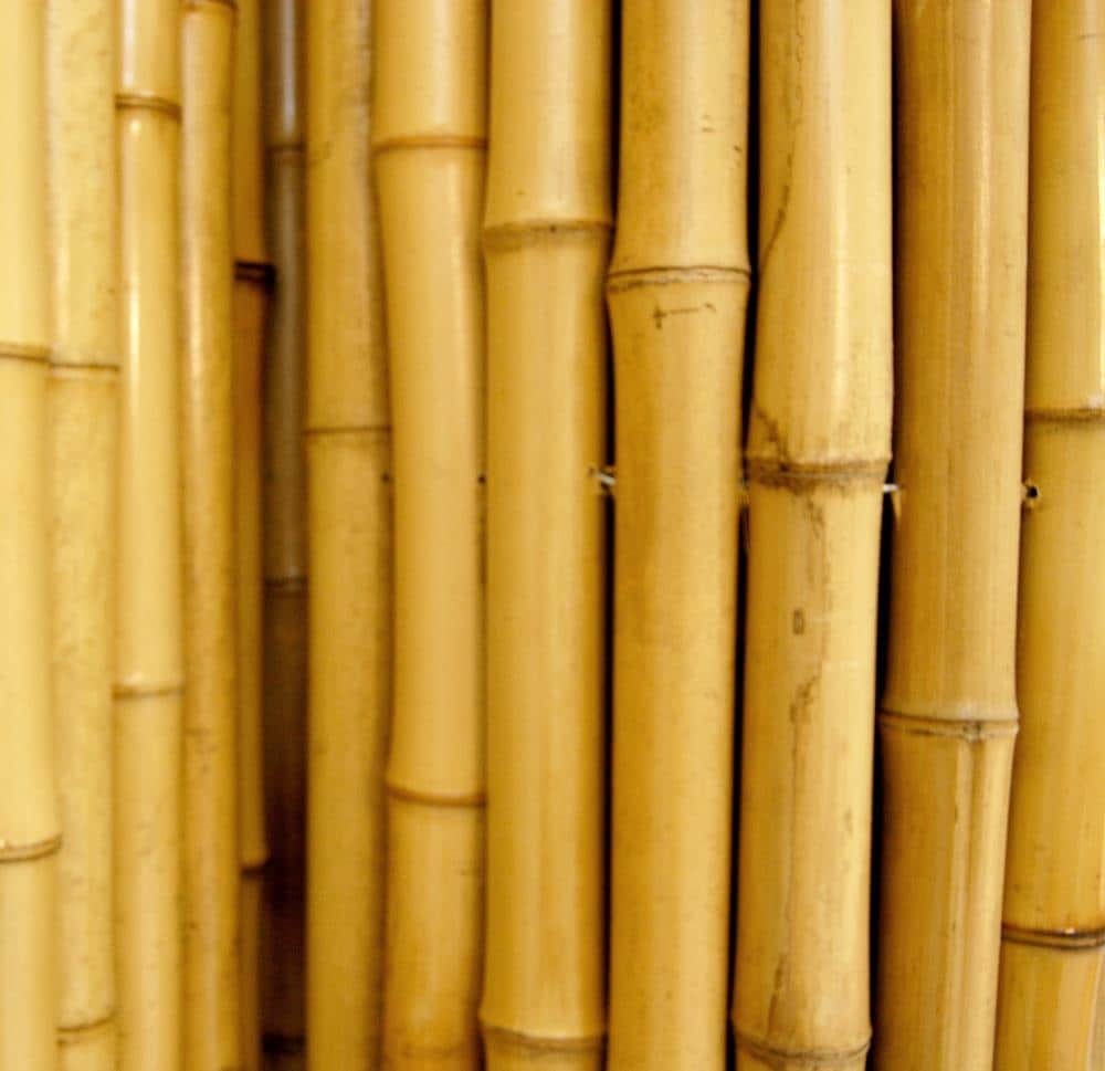 Backyard x Scapes Natural Bamboo Poles