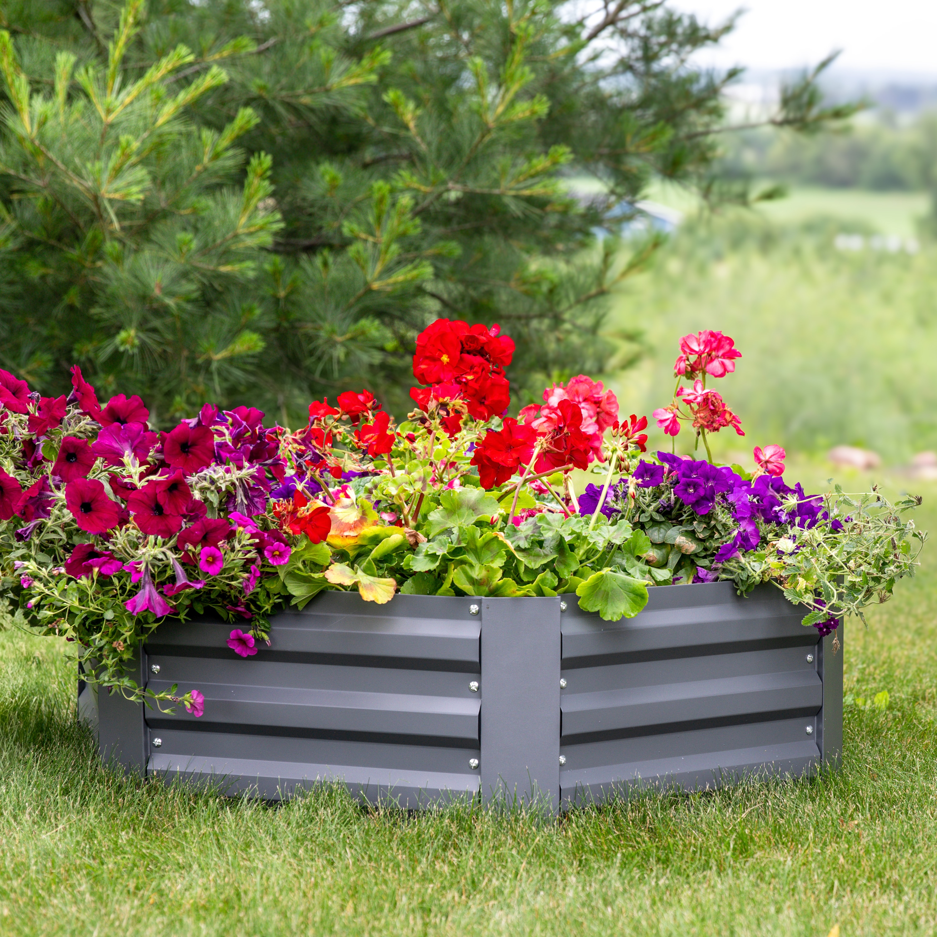 Sunnydaze Decor NPH-571 Raised-Garden-Beds - View #13