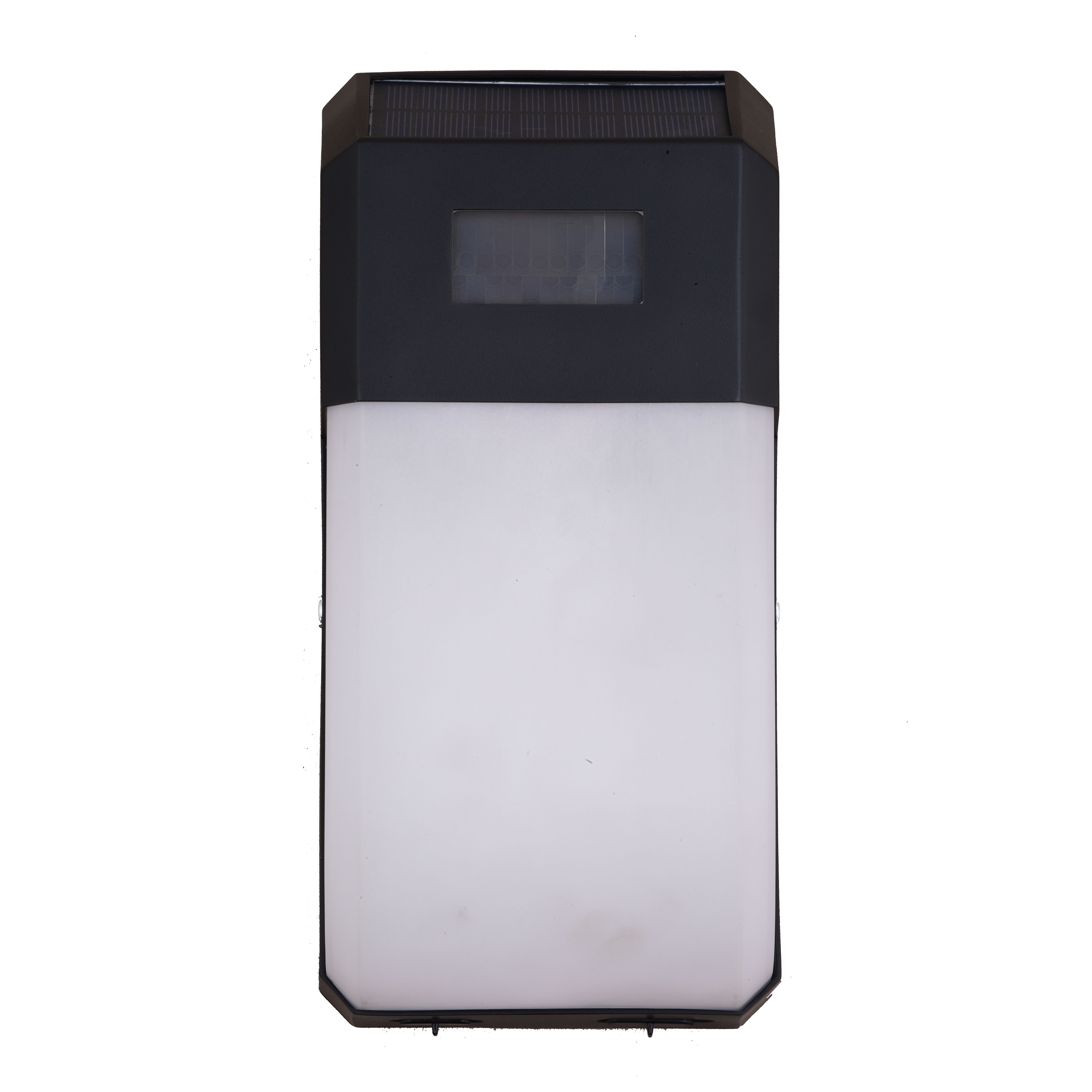 Black Solar LED Outdoor Wall Light with Motion Sensor and Frosted Shade