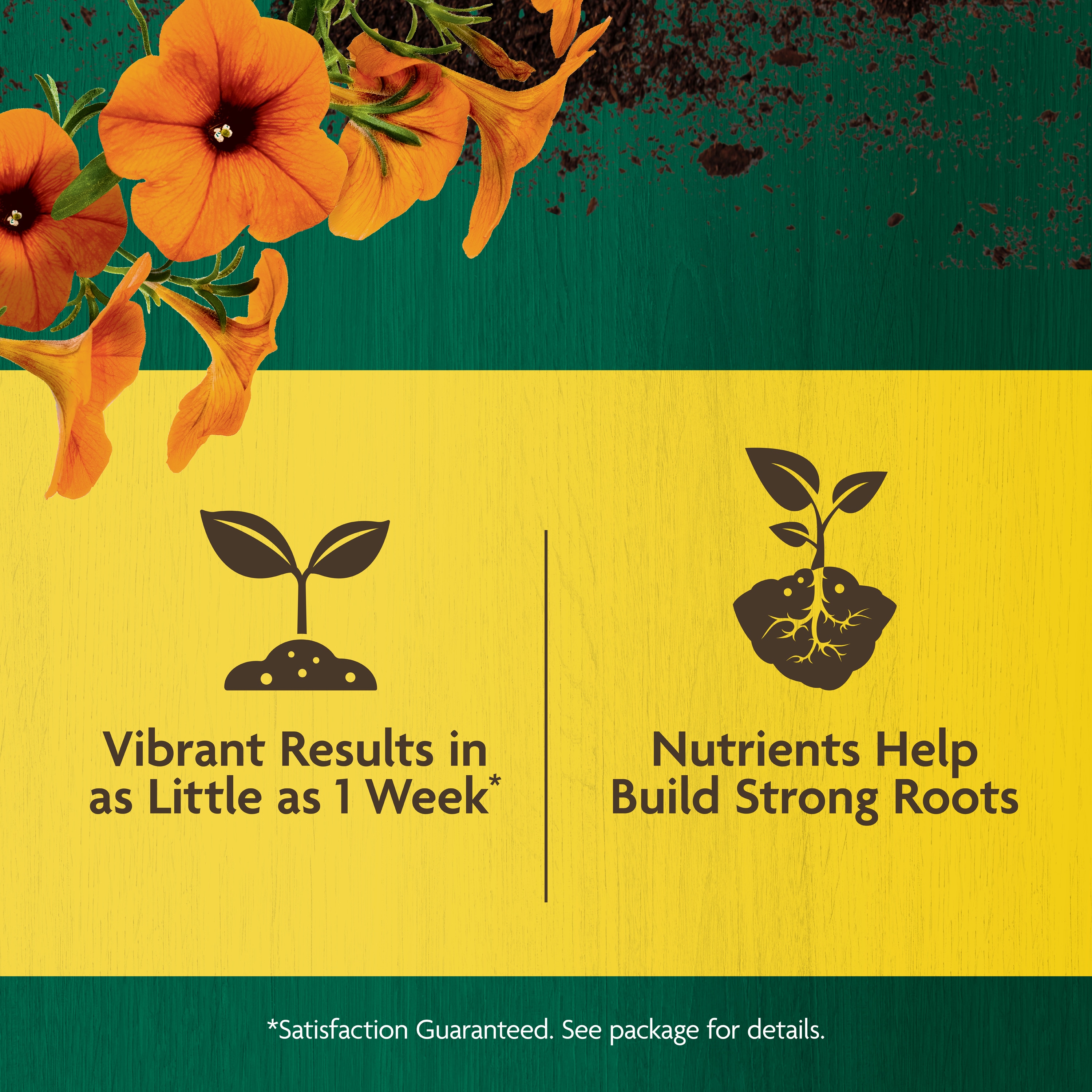 Miracle-Gro 3035906 Plant-Food - View #5